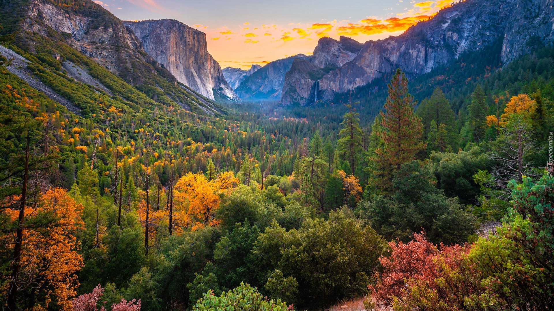 Stany Zjednoczone, Kalifornia, Park Narodowy Yosemite, Góry, Dolina, Jesień, Drzewa