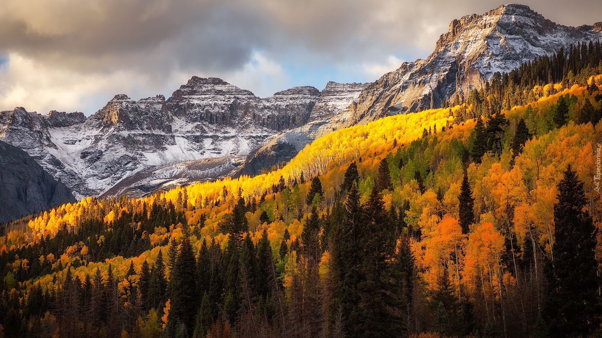 Góry, San Juan Mountains, Lasy, Drzewa, Jesień, Kolorado, Stany Zjednoczone