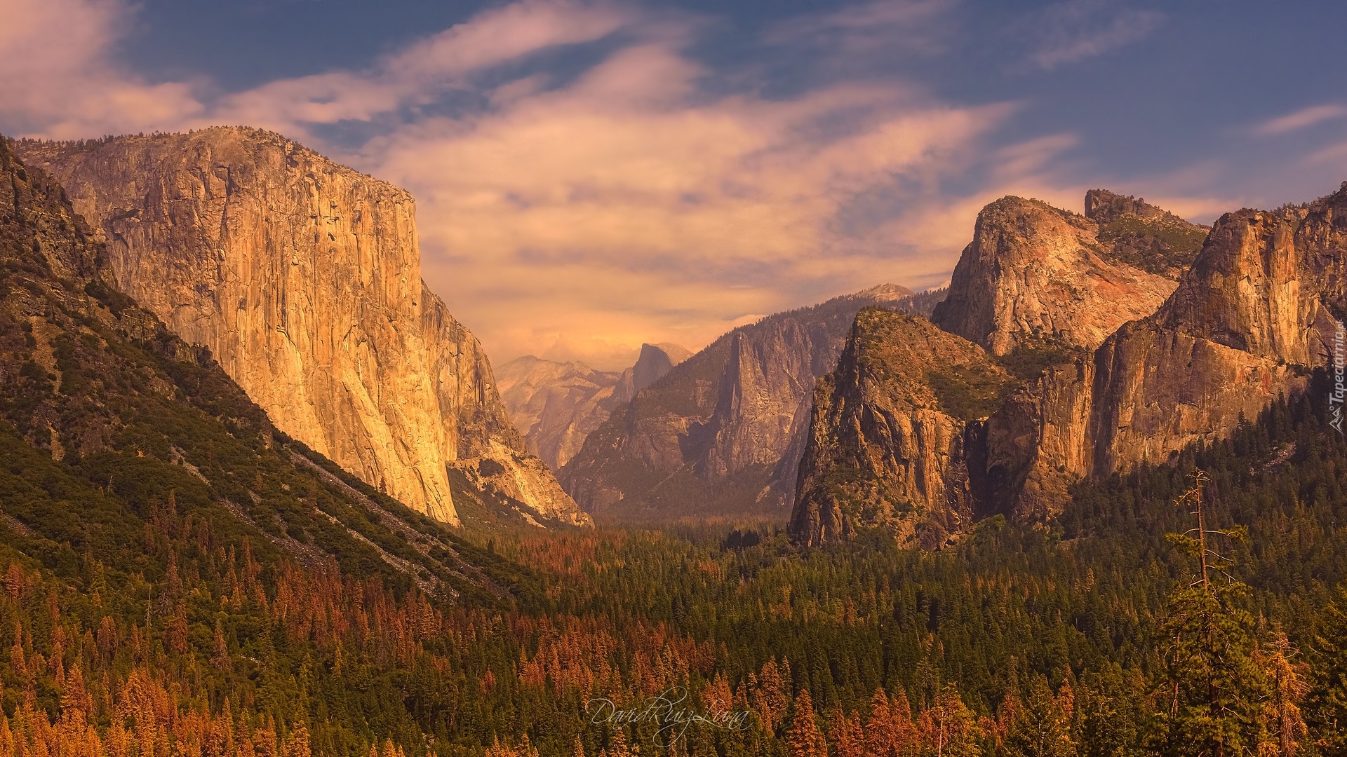 Góry, Las, Dolina, Park Narodowy Yosemite, Kalifornia, Stany Zjednoczone