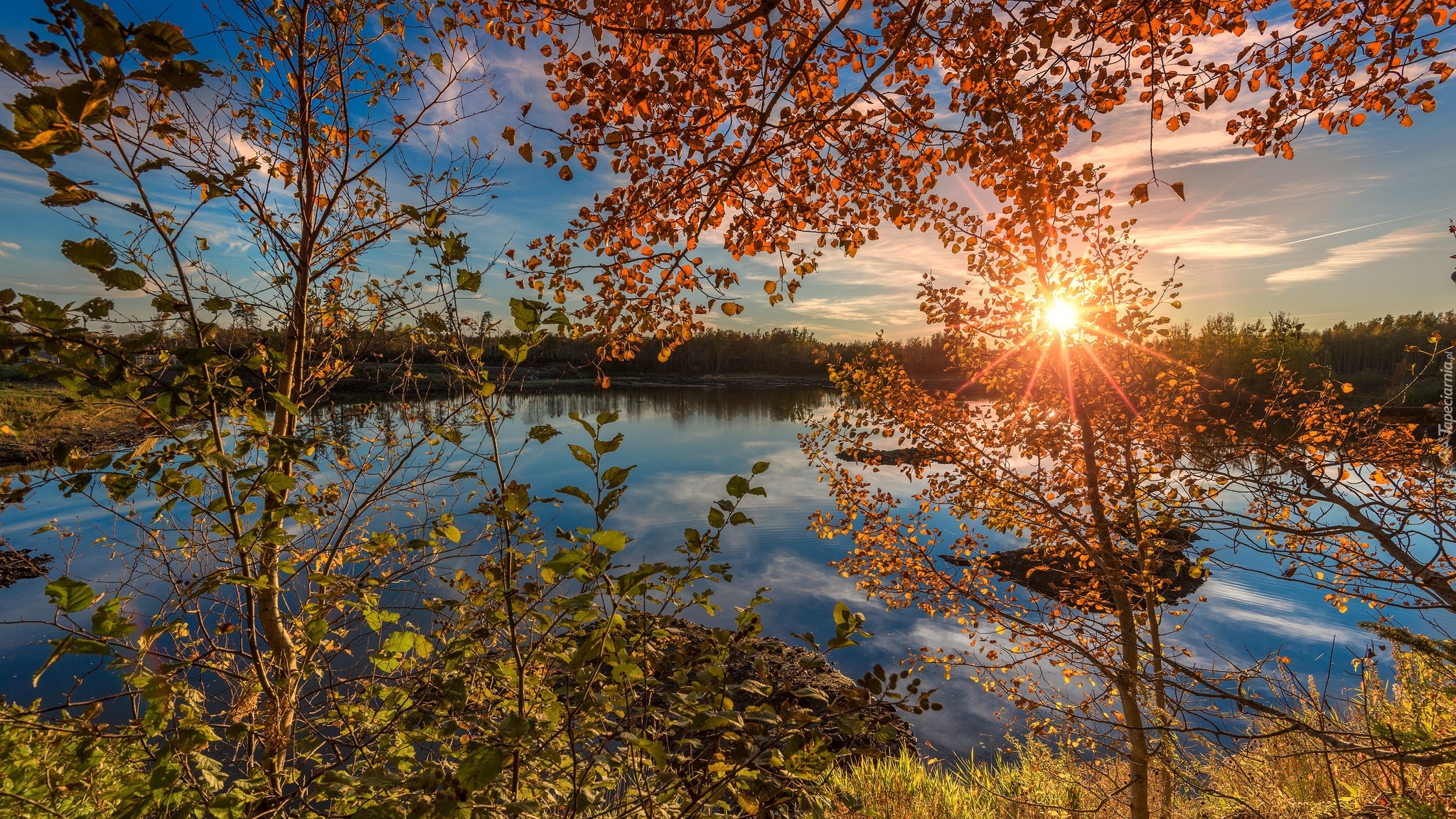 Jezioro, Drzewa, Las, Jesień, Promienie słońca