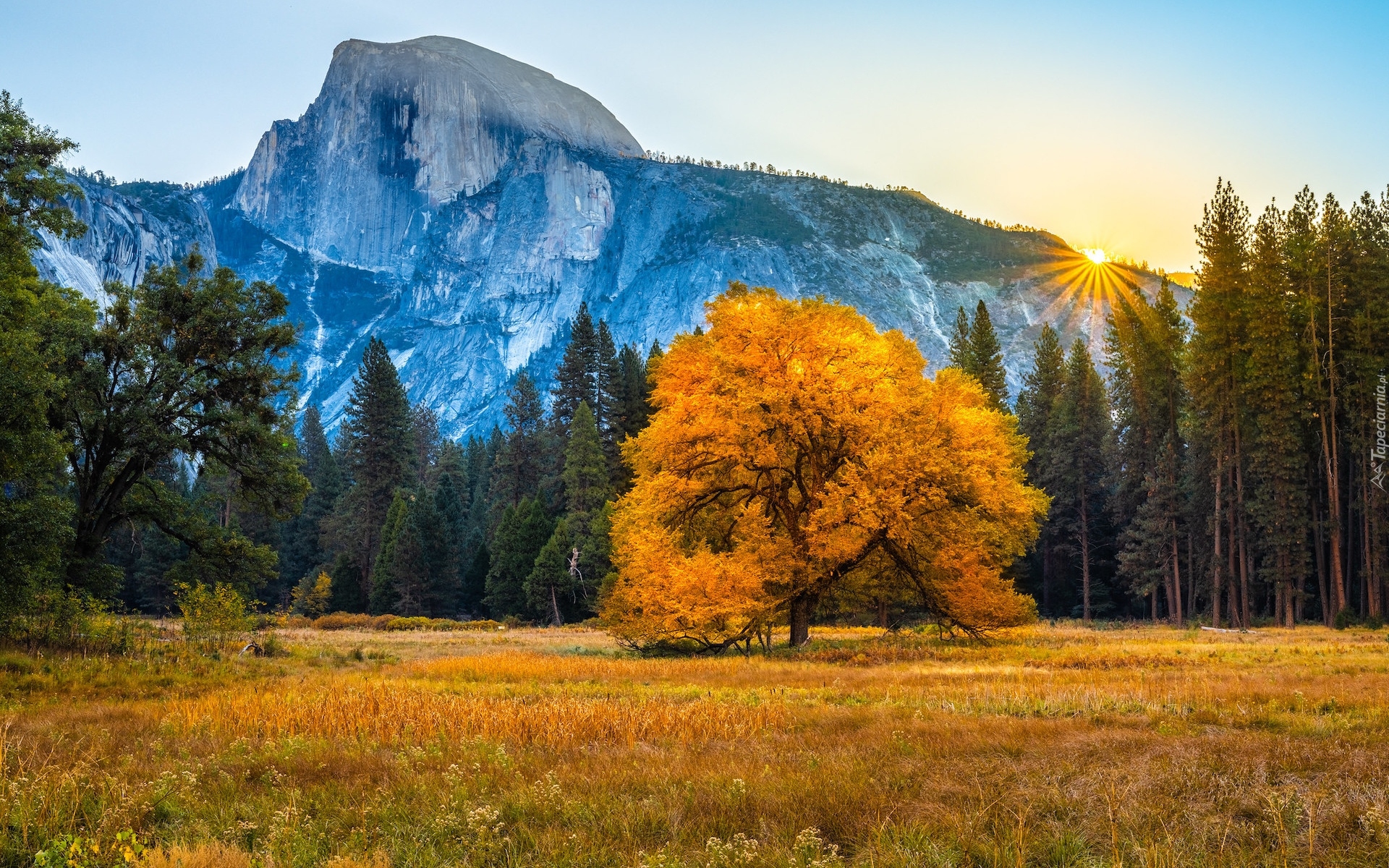 Jesień, Park Narodowy Yosemite, Góry, Drzewa, Las, Promienie słońca, Stan Kalifornia, Stany Zjednoczone