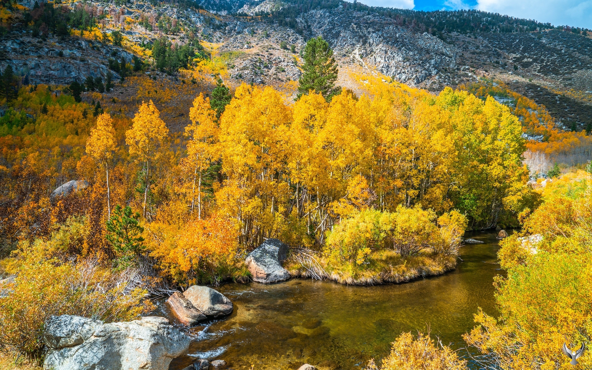 Rzeka, Bishop Creek, Jesień, Krzewy, Pożółkłe, Drzewa, Góry, Kalifornia, Stany Zjednoczone
