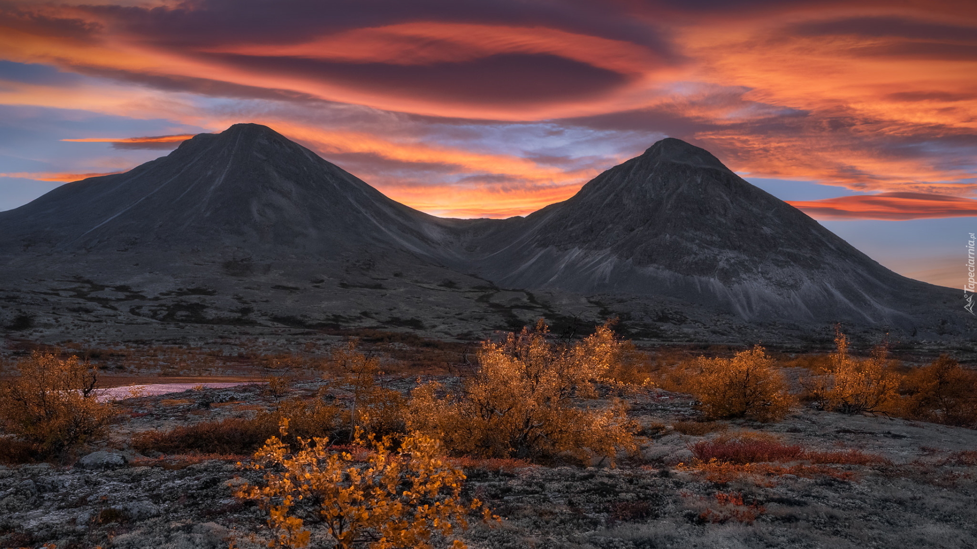 Góry, Jesień, Krzewy, Chmury, Park Narodowy Rondane, Norwegia