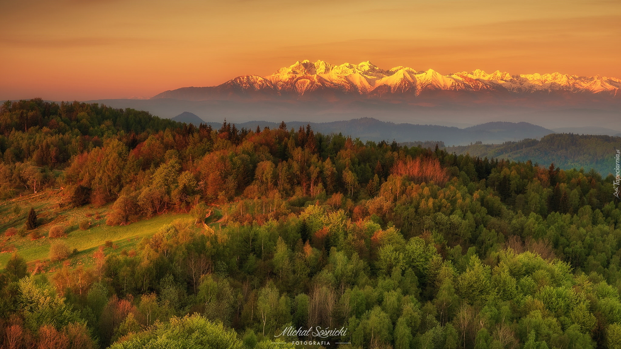 Las, Góry, Tatry, Wschód słońca, Polska