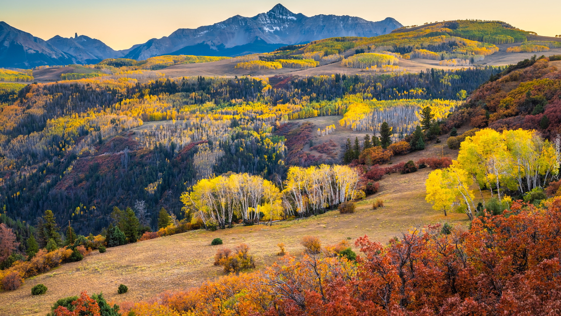 Jesień, Góry, San Juan Mountains, Lasy, Kolorowe, Drzewa, Kolorado, Stany Zjednoczone
