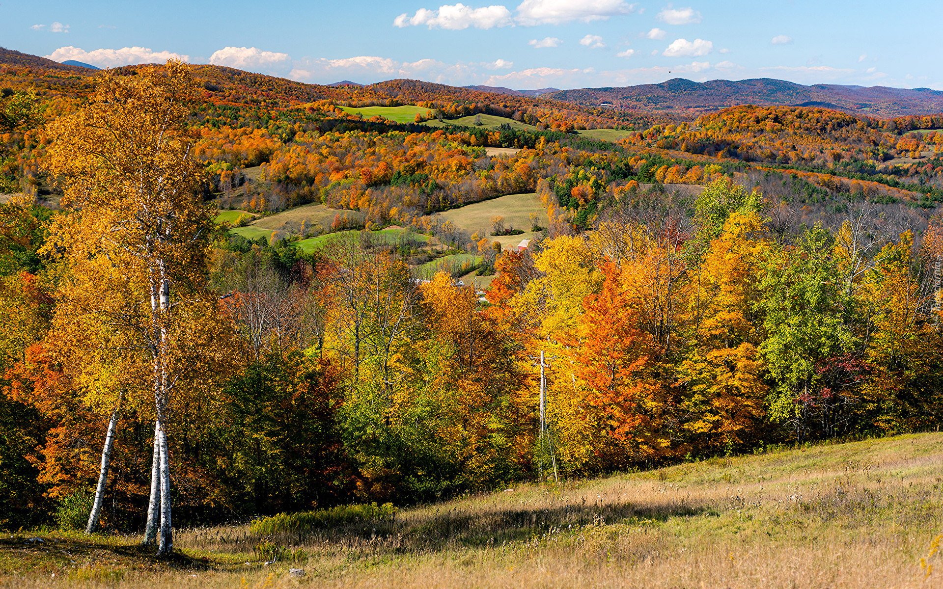 Jesień, Wzgórze, Lasy, Kolorowe, Drzewa