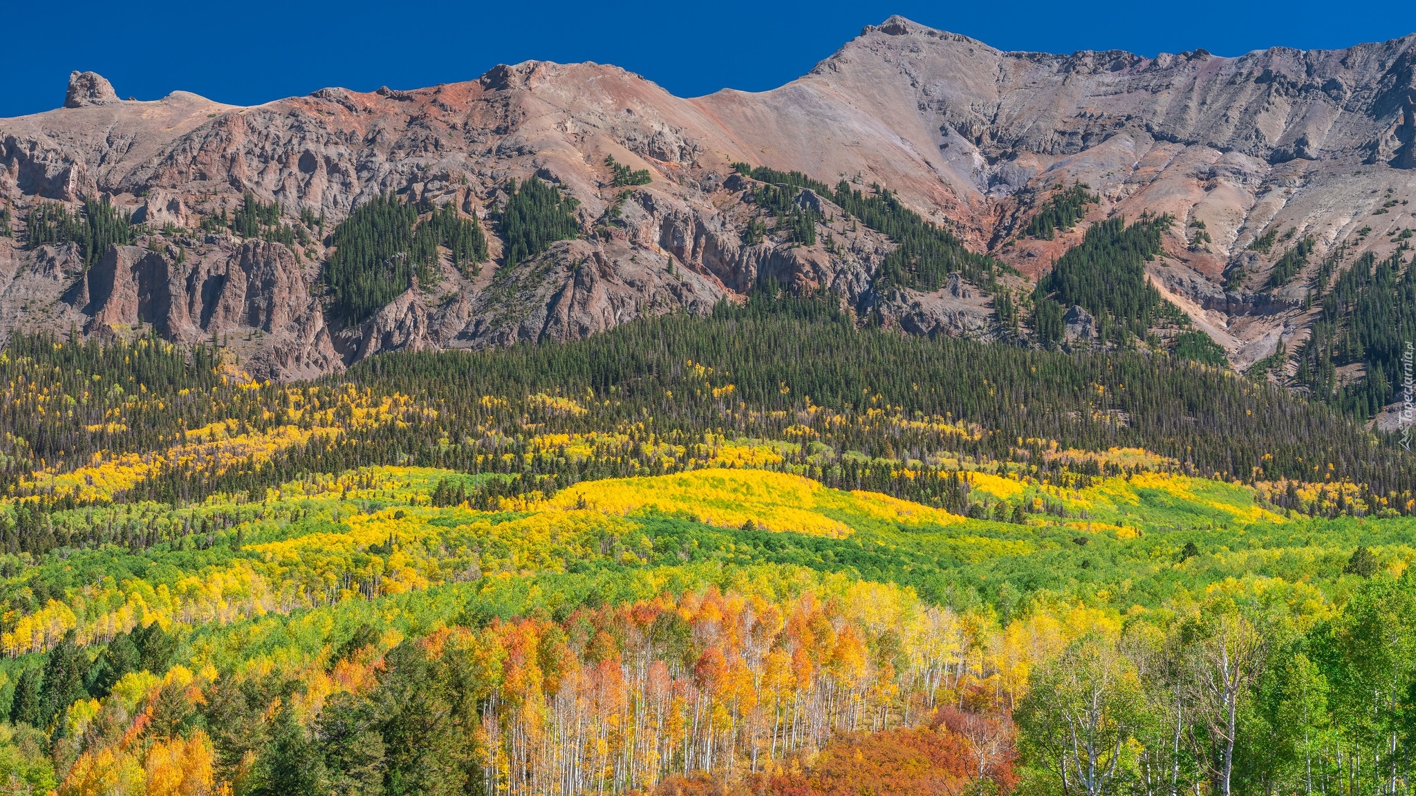 Stany Zjednoczone, Stan Kolorado, Telluride, Las, Jesień, Góry, San Juan Mountains, Kolorowe, Drzewa