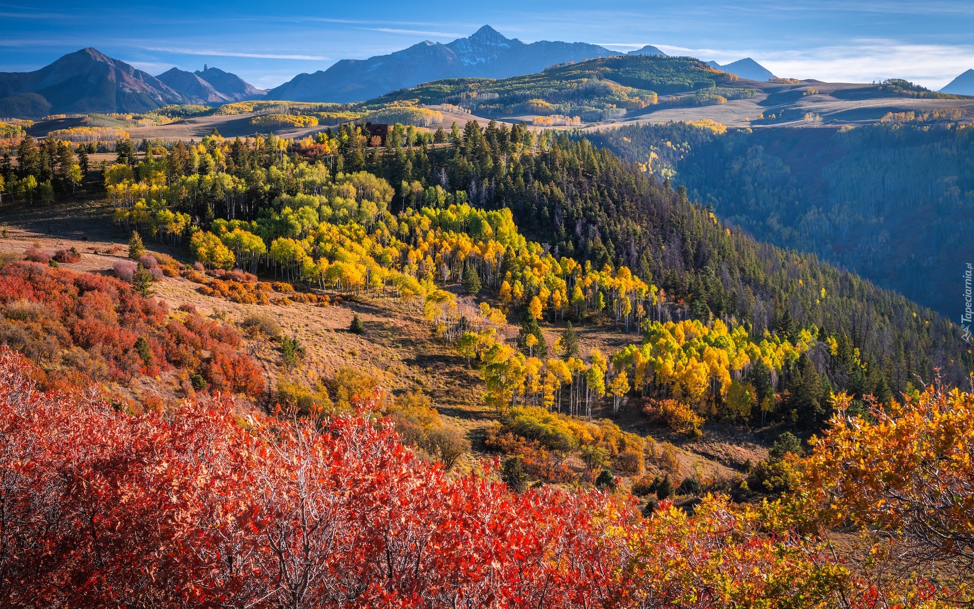 Stany Zjednoczone, Kolorado, Telluride, Jesień, Góry, San Juan Mountains, Kolorowe, Drzewa