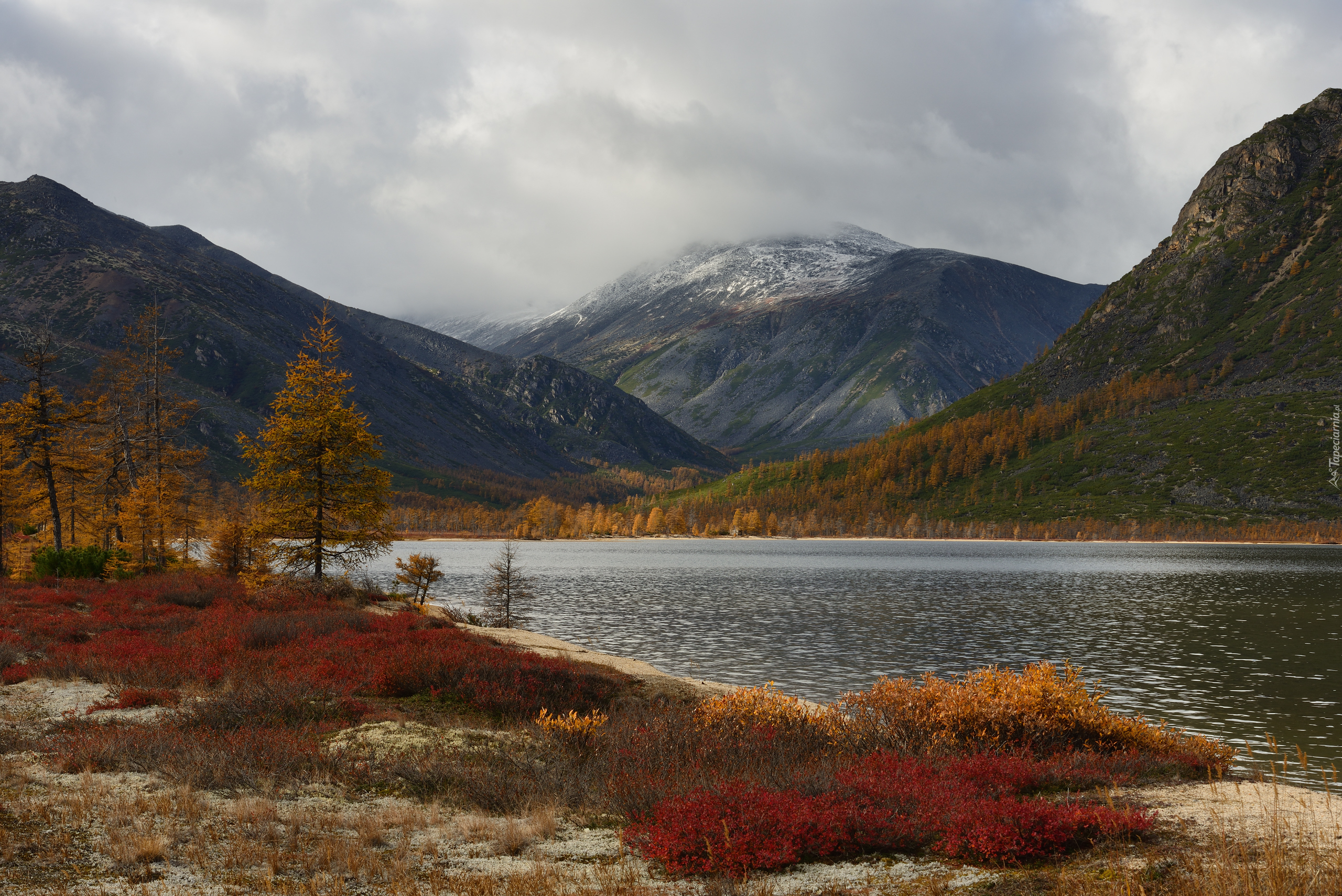 Jesień, Mgła, Drzewa, Góry Kołymskie, Jezioro Jacka Londona, Obwód magadański, Rosja