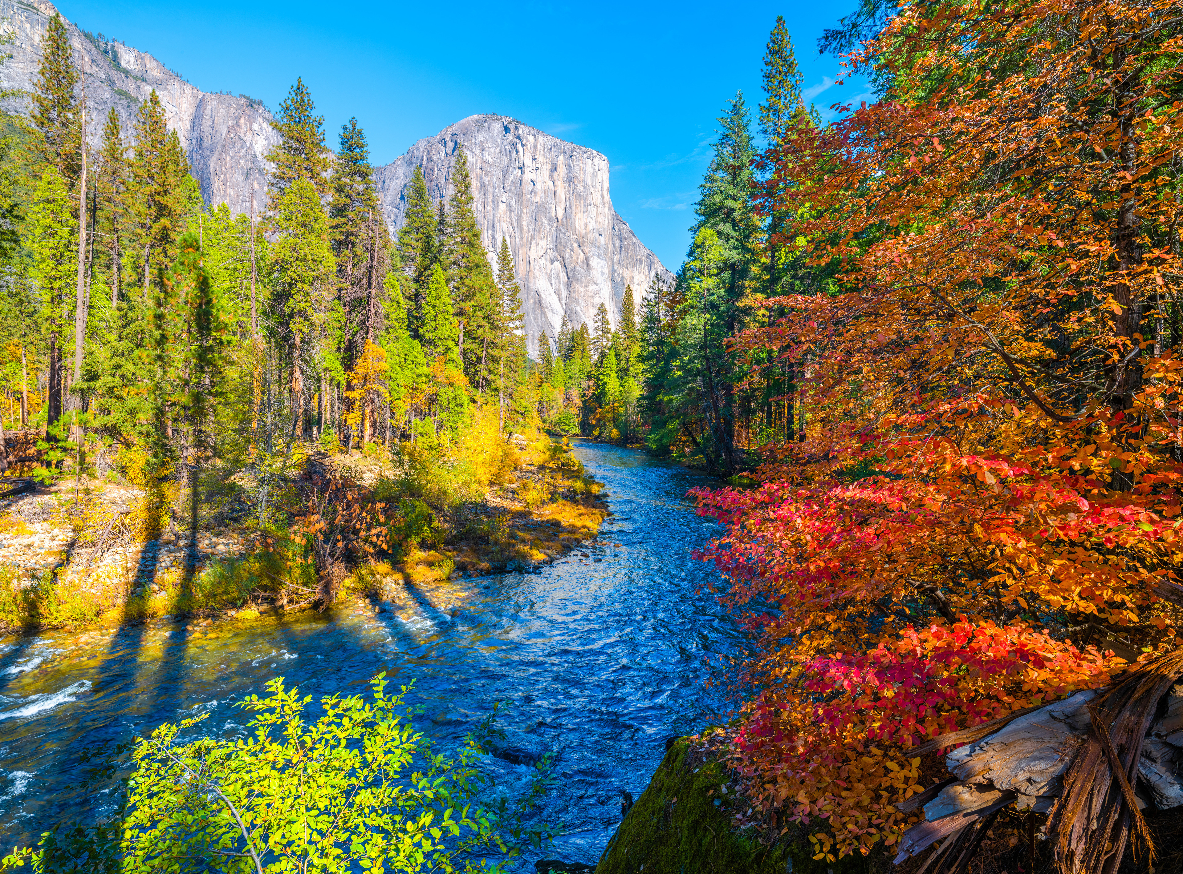 Stany Zjednoczone, Jesień, Kalifornia, Park Narodowy Yosemite, Rzeka, Merced River, Góry, Drzewa