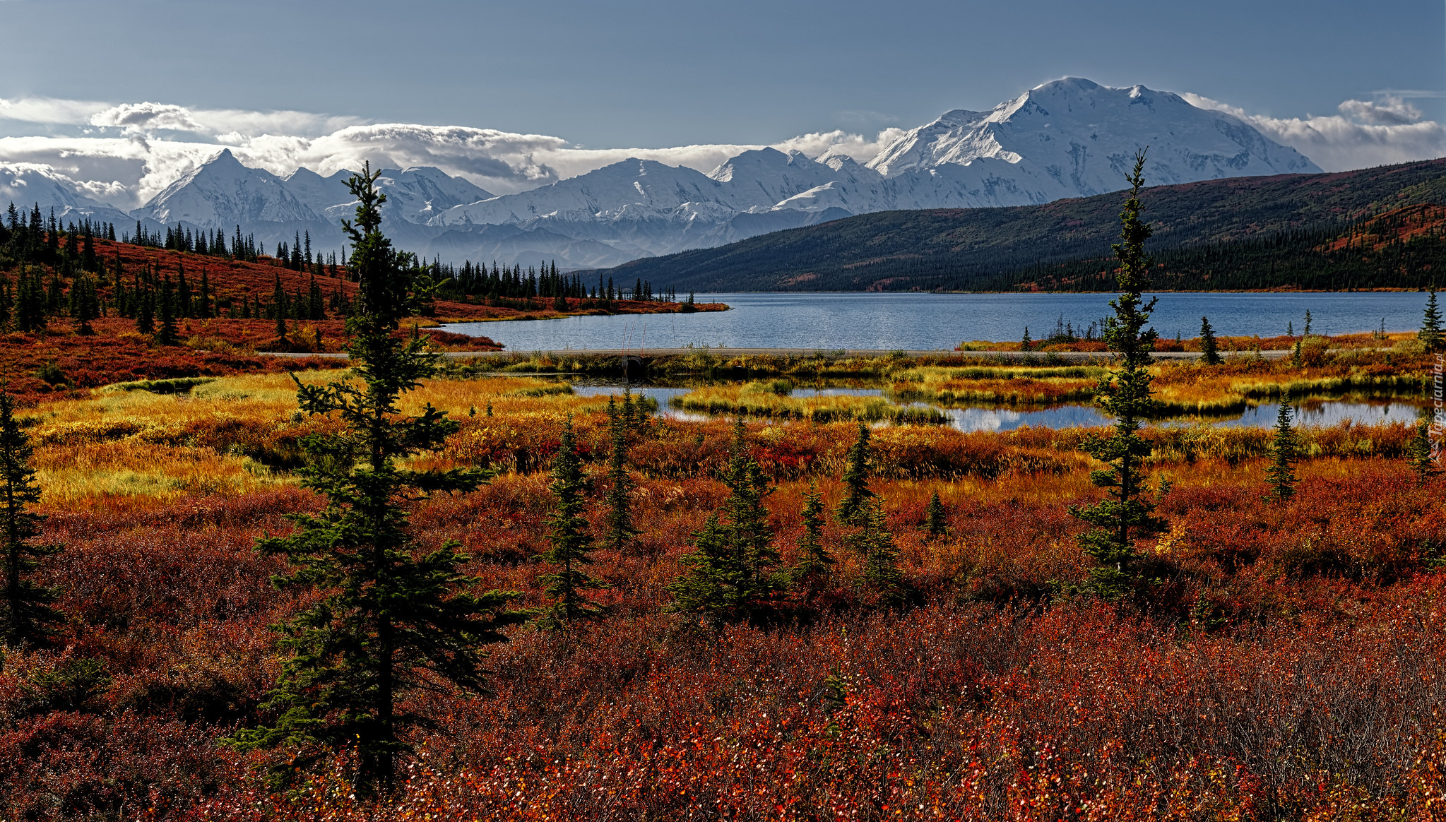 Stany Zjednoczone, Alaska, Park Narodowy Denali, Góry, Kordyliery, Jezioro, Wonder Lake, Drzewa, Jesień, Roślinność