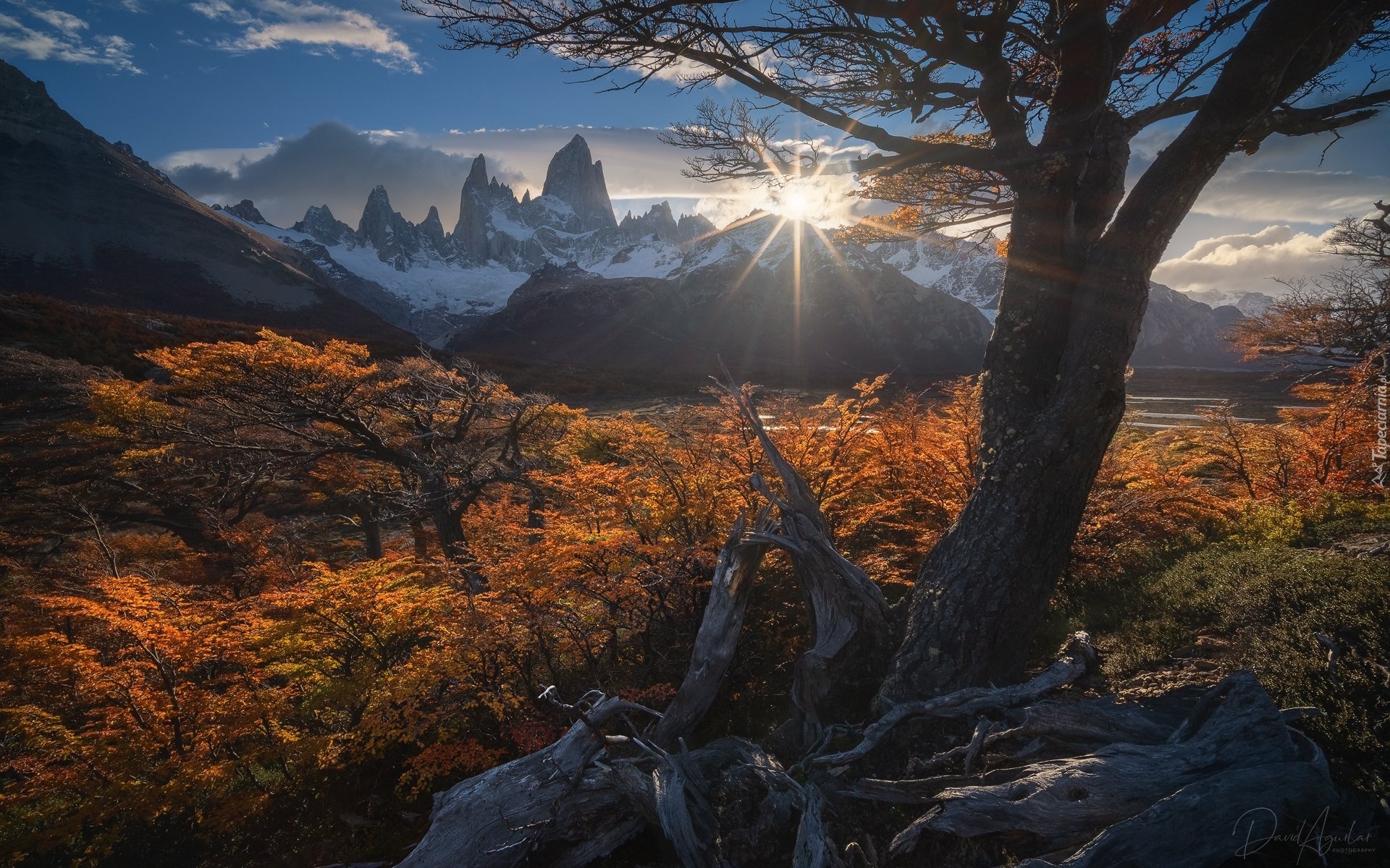Argentyna, Patagonia, Góry, Promienie słońca, Drzewa, Jesień, Góry, Szczyt, Fitz Roy, Park Narodowy Los Glaciares