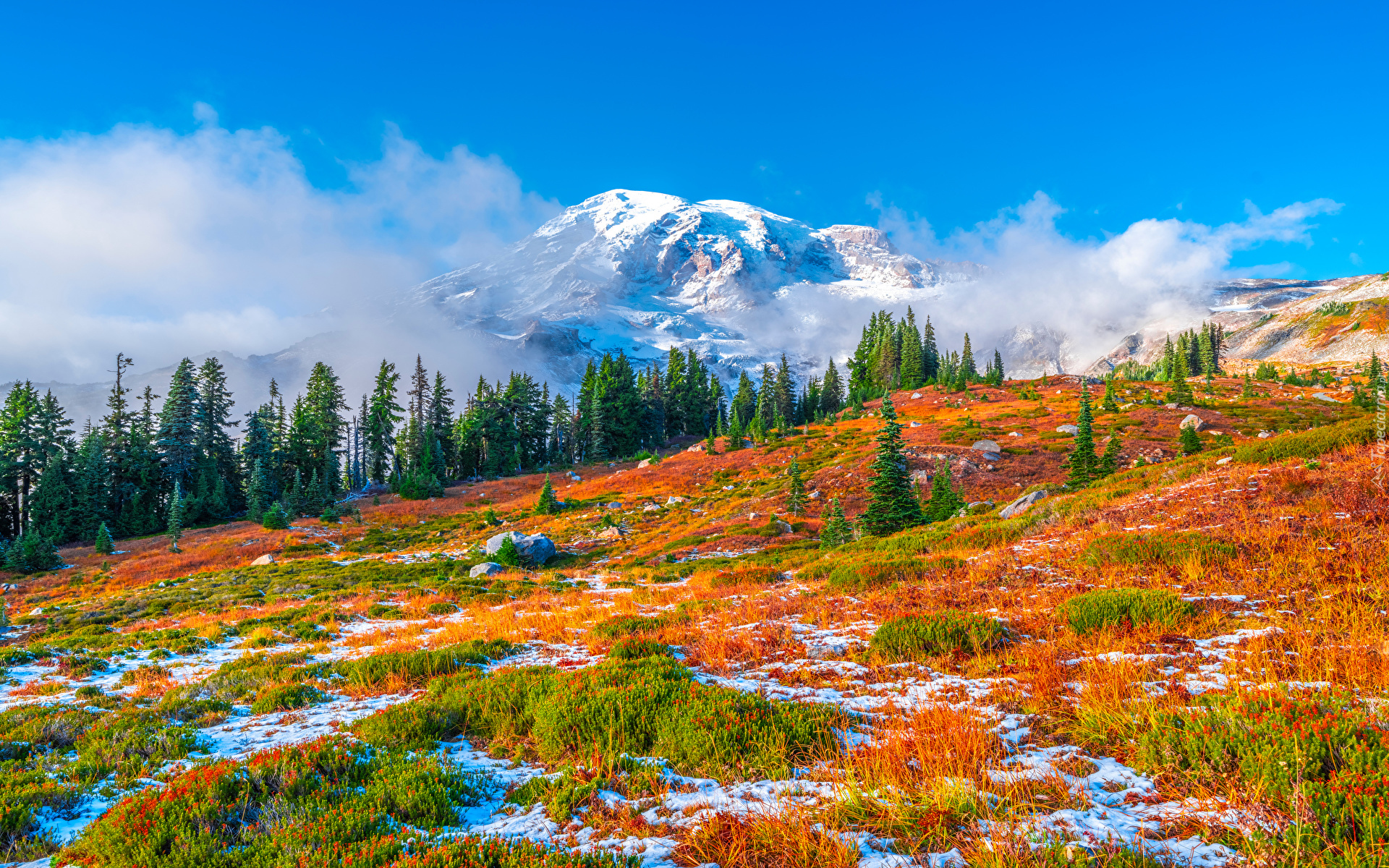Park Narodowy Mount Rainier, Góry, Stratowulkan, Mount Rainier, Drzewa, Jesień, Stan Waszyngton, Stany Zjednoczone