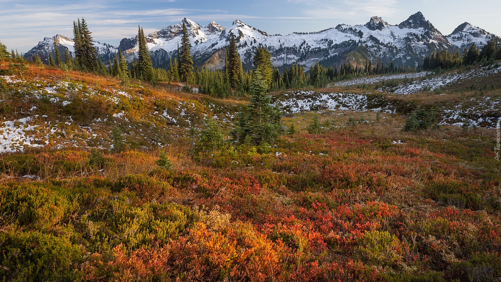 Park Narodowy Mount Rainier, Jesień, Góry, Tatoosh Range, Drzewa, Kolorowe, Rośliny, Stan Waszyngton, Stany Zjednoczone
