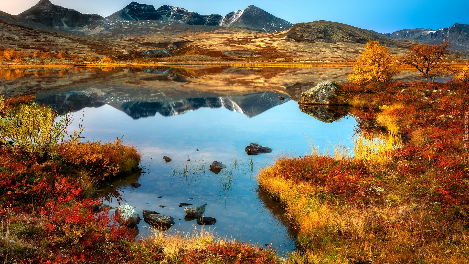 Jesień, Góry, Jezioro, Drzewa, Roślinność, Odbicie, Park Narodowy Rondane, Norwegia