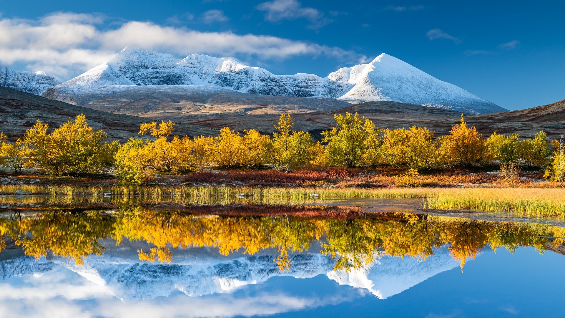 Norwegia, Park Narodowy Rondane, Góry, Ośnieżone, Jezioro, Drzewa, Jesień