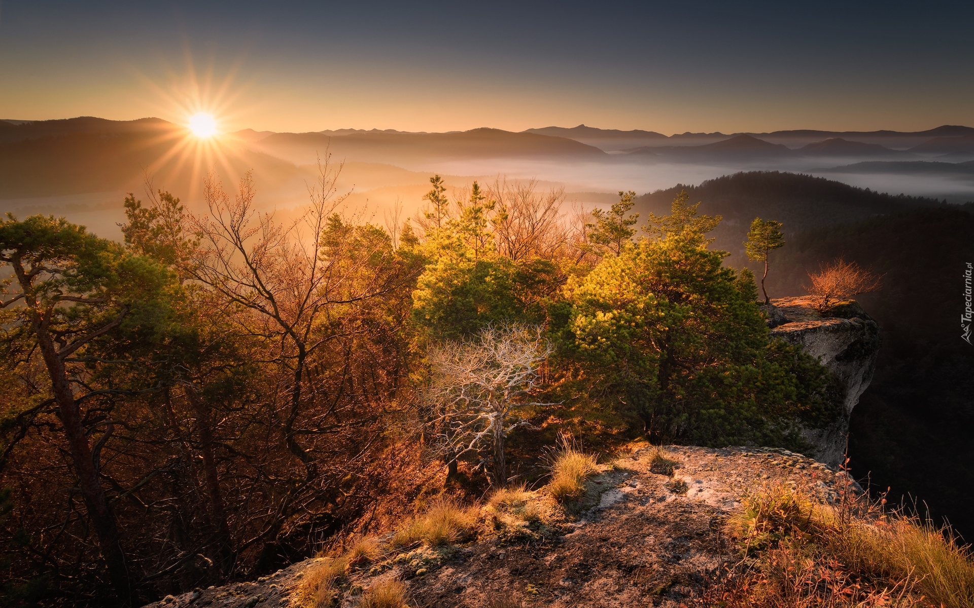 Wschód słońca, Góry, Jesień, Roślinność, Sulov, Słowacja