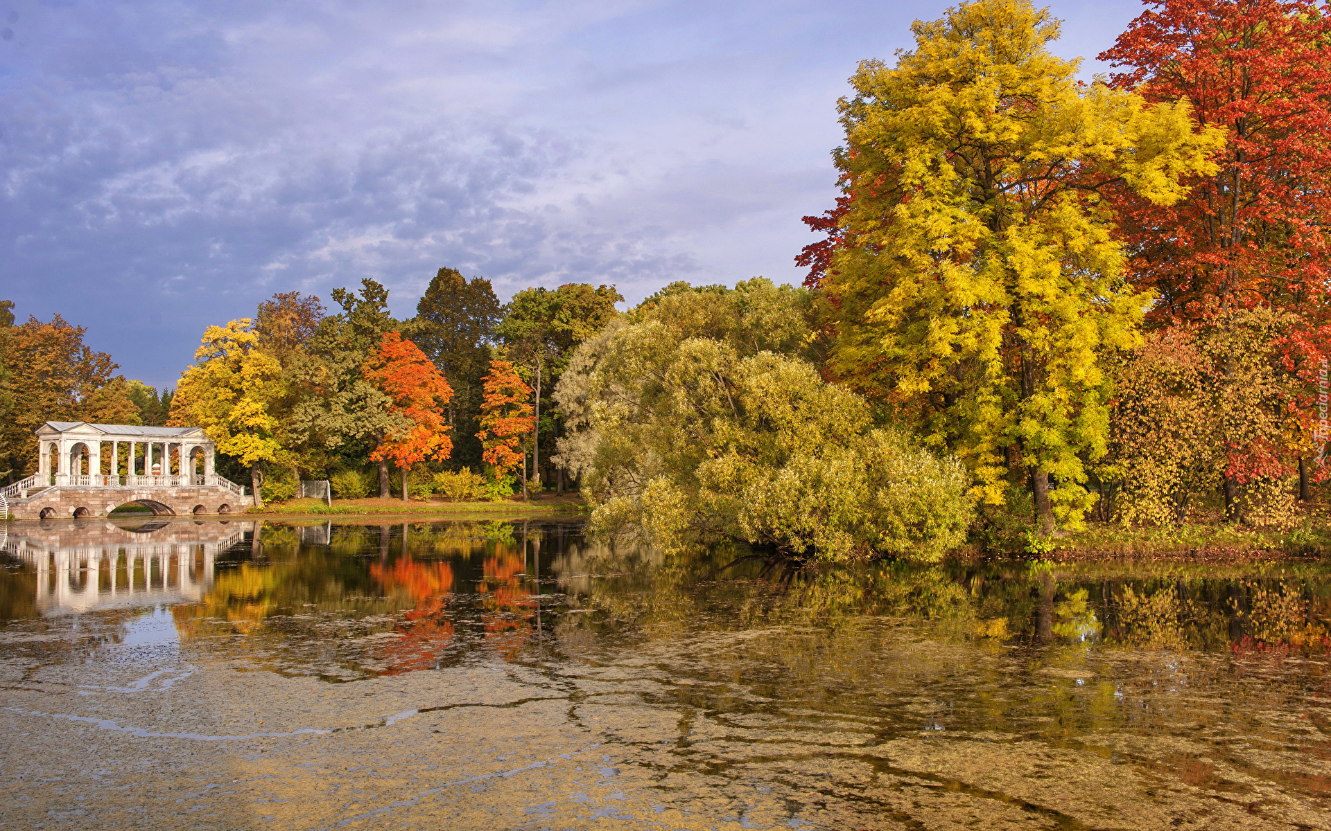 Park, Jesień, Drzewa, Staw, Most, Chmury, Pawłowsk, Petersburg, Rosja