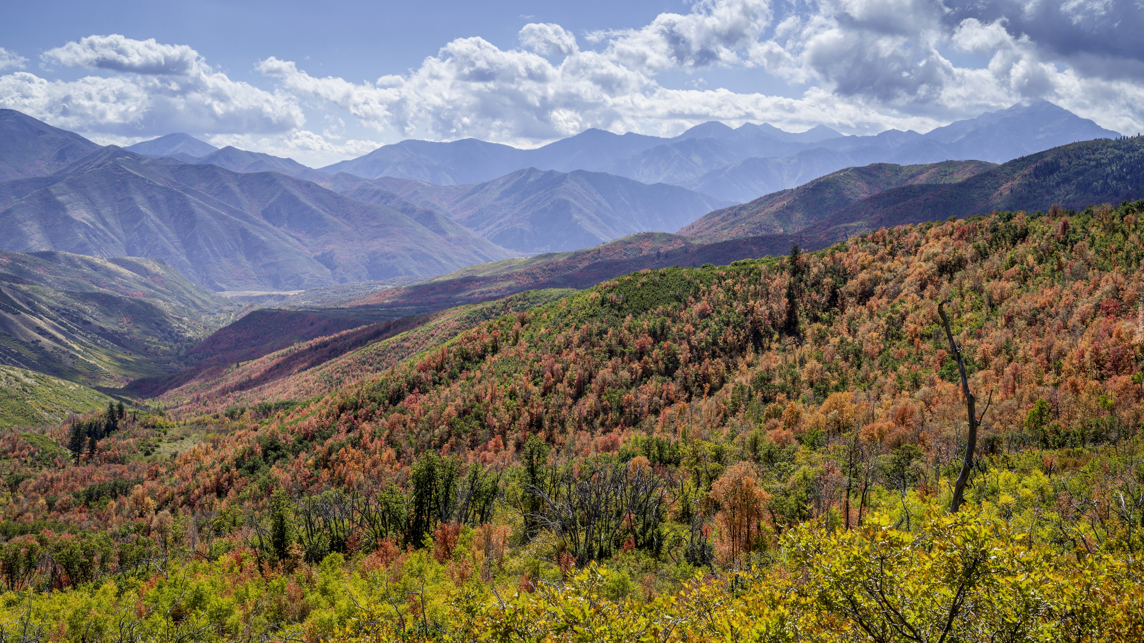 Jesień, Góry Wasatch, Niebo, Chmury, Kolorowe, Rośliny, Krzewy, Wzgórza, Stan Utah, Stany Zjednoczone