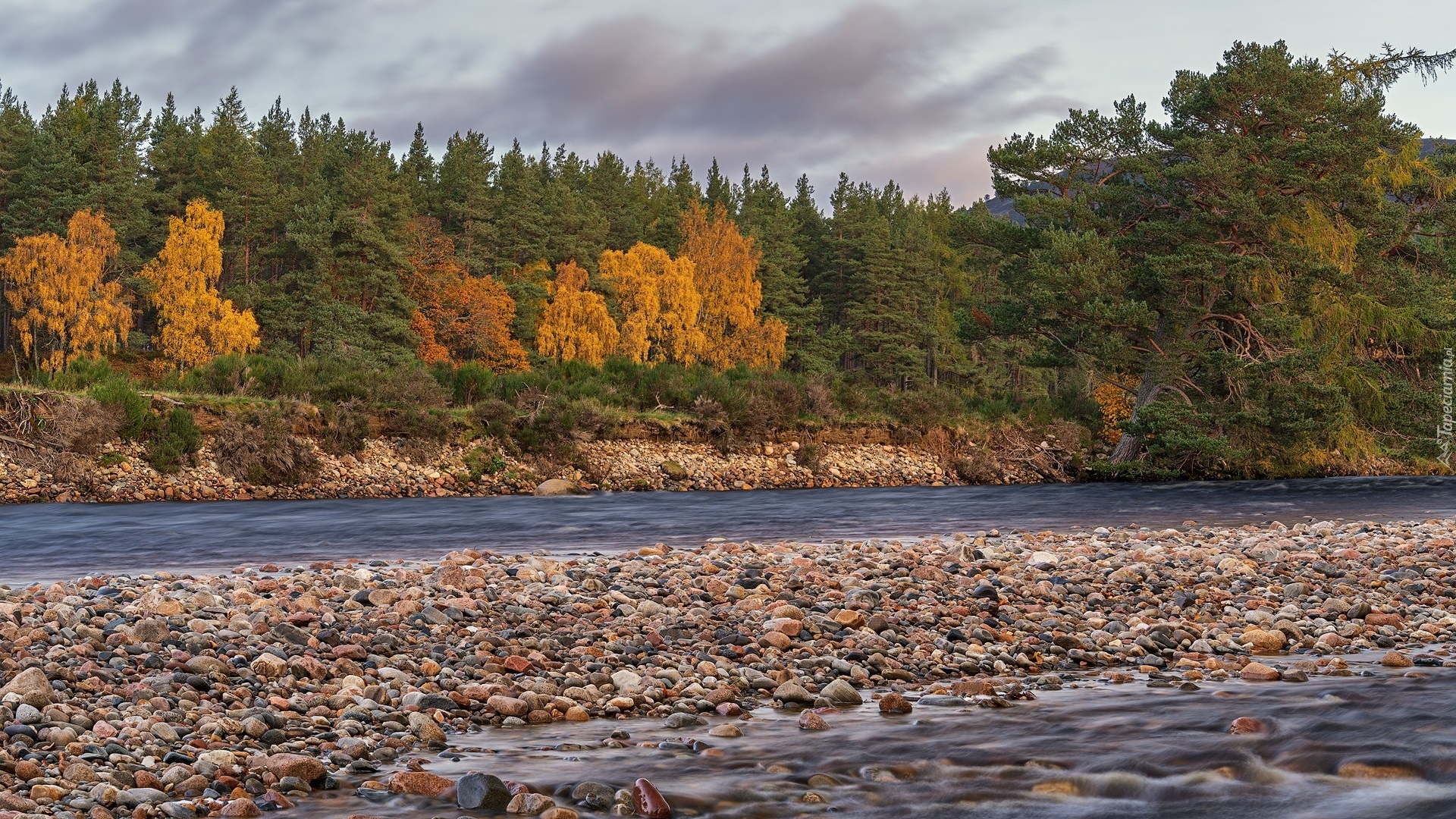 Drzewa, Kamienie, Rzeka, River Dee, Park Narodowy Cairngorms, Ballater, Szkocja