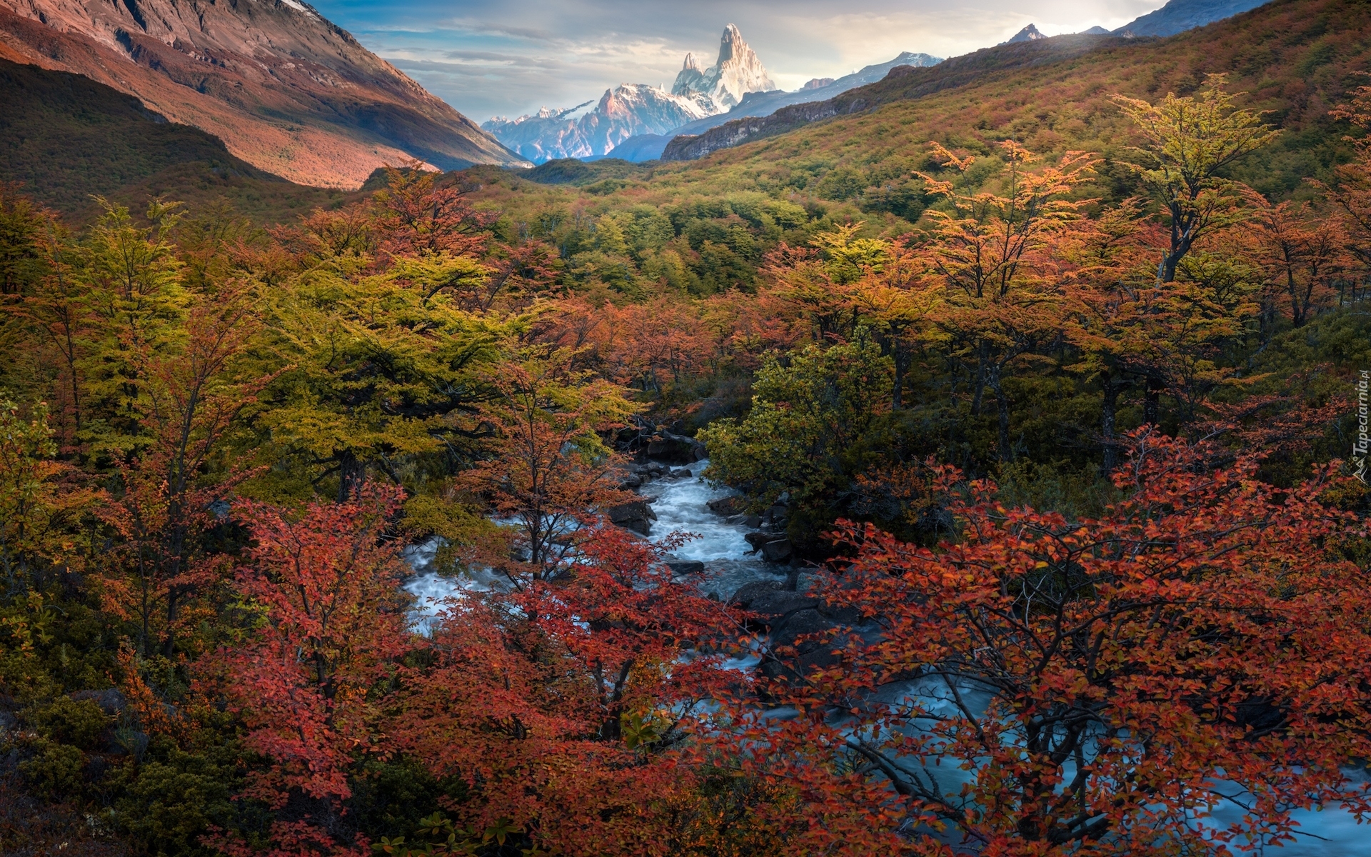 Jesień, Góry Andy, Góra, Fitz Roy, Park Narodowy Los Glaciares, Drzewa, Rzeka, Patagonia, Argentyna