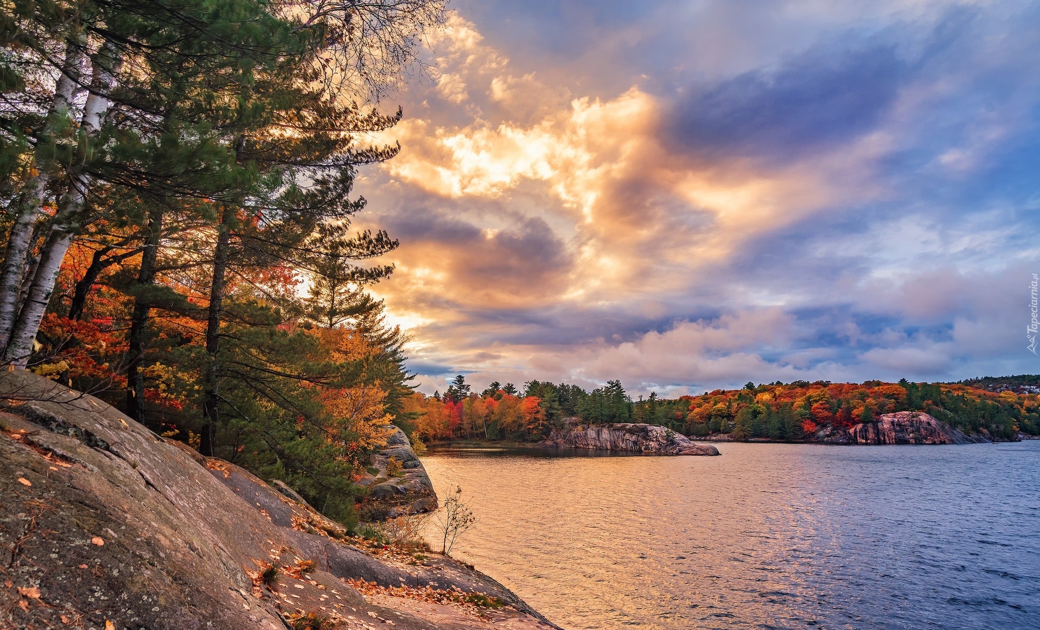 Kanada, Prowincja Ontario, Park miejski Killarney Provincial Park, Jezioro, Jesień, Drzewa, Chmury, Wschód słońca