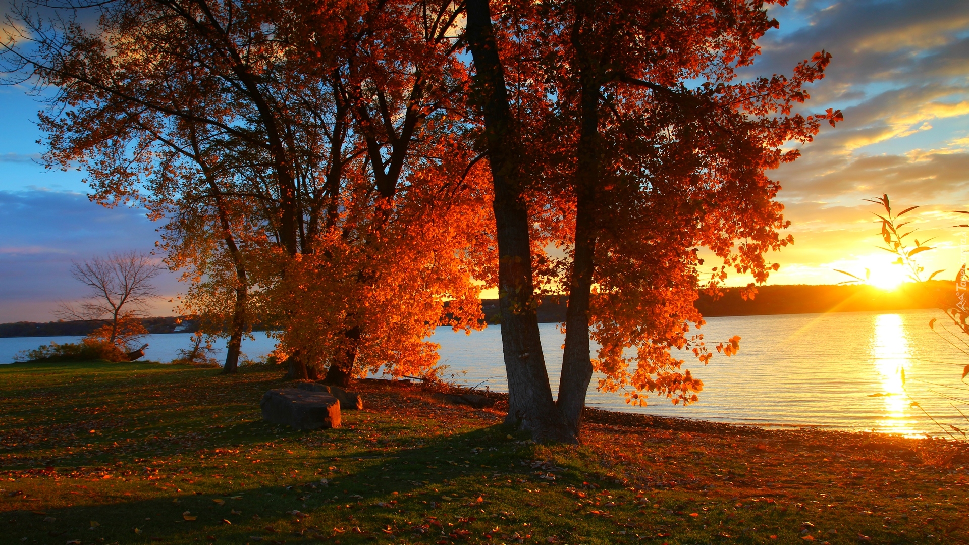 Rzeka, Jesień, Drzewa, Wschód słońca