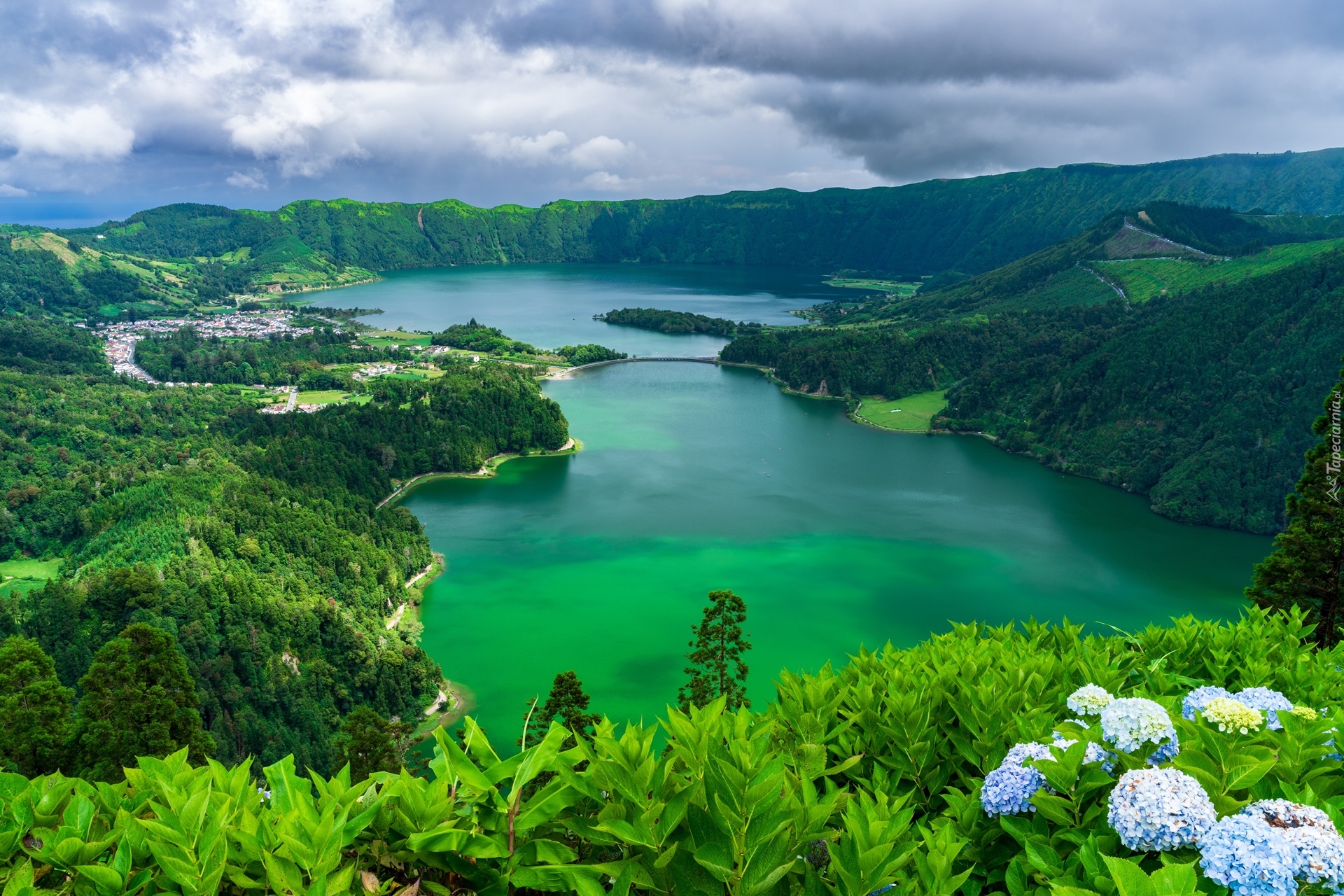 Hortensje, Jezioro Azul, Jezioro Verde, Góry, Lasy, Sete Cidades, Wyspa Sao Miguel, Azory, Portugalia