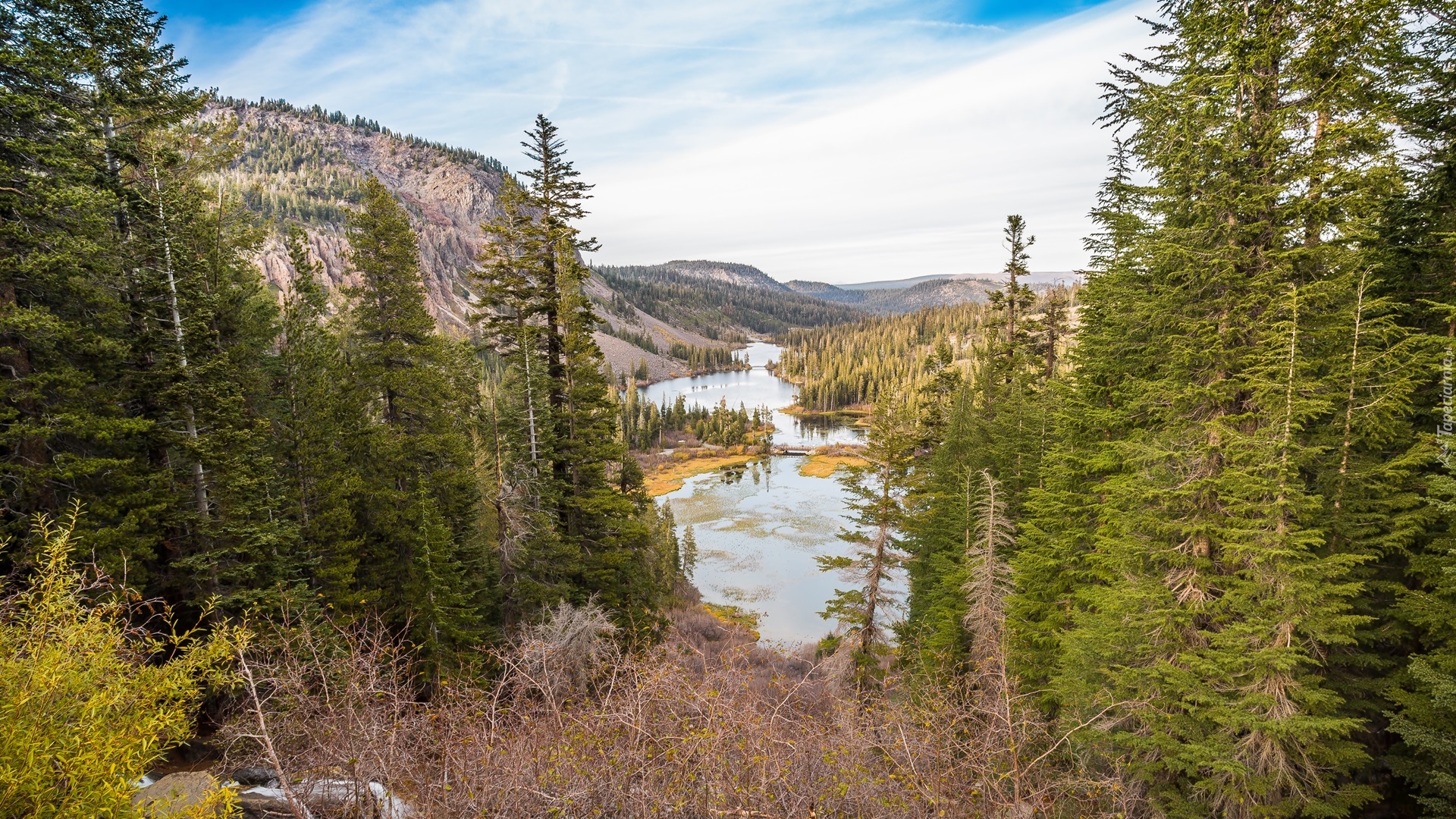 Stany Zjednoczone, Kalifornia, Hrabstwo Mono, Miejscowość Mammoth Lakes, Góra Mammoth Mountain, Jeziora Twin Lakes, Góry, Świerki