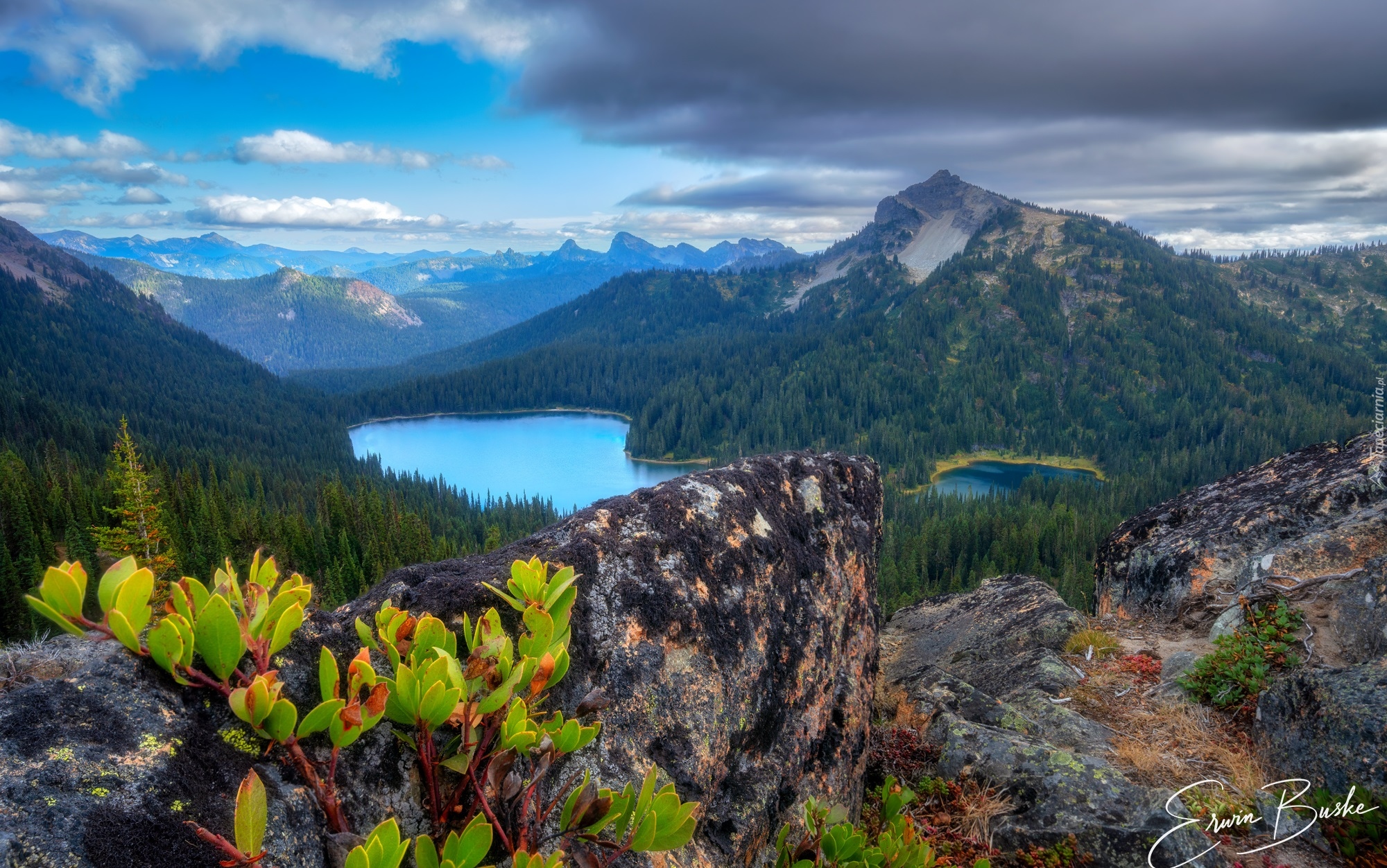 Góry, Las, Drzewa, Jezioro, Chmury, William O Douglas Wilderness, Waszyngton, Stany Zjednoczone