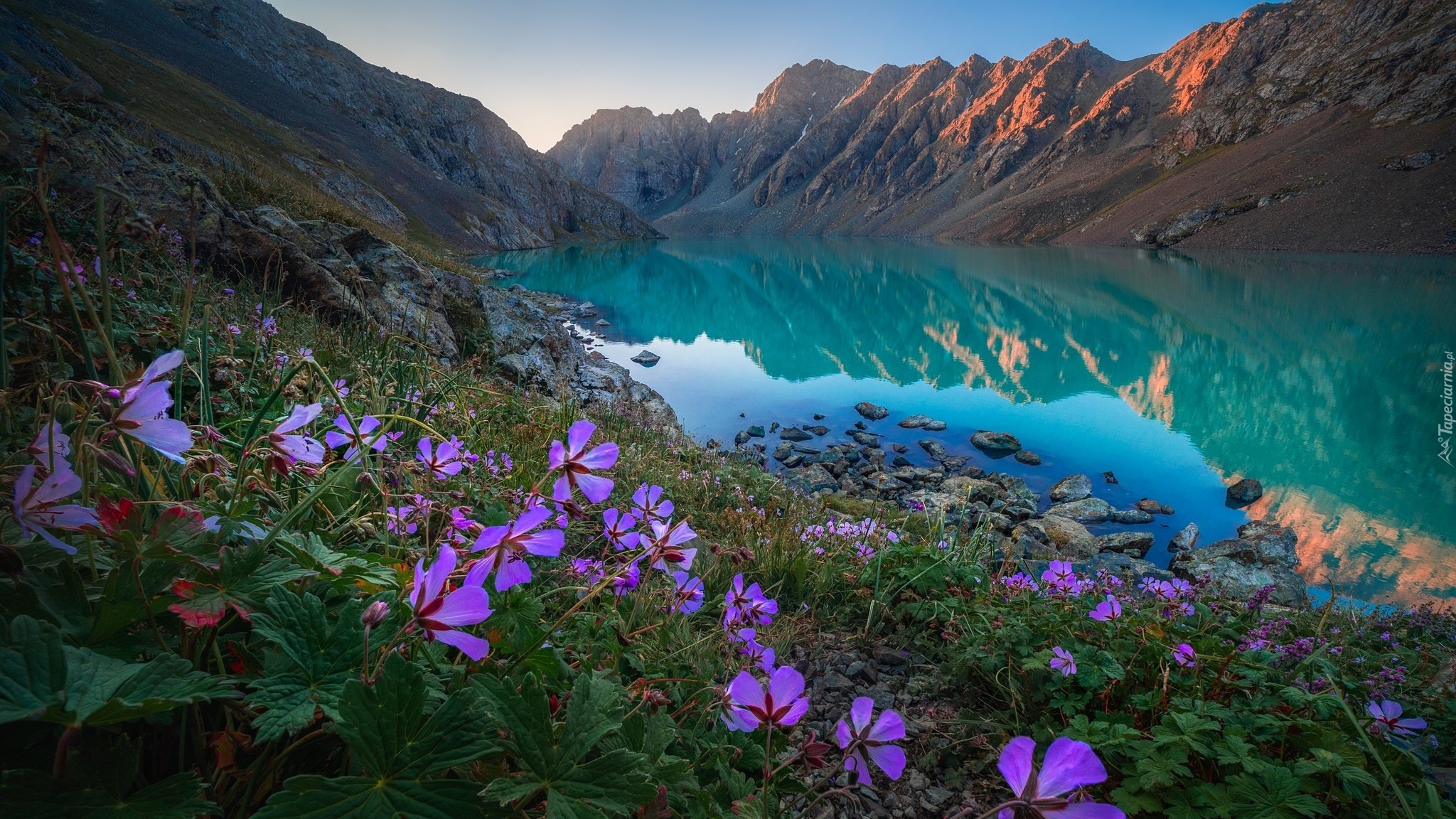 Kwiaty, Góry Tienszan, Jezioro Ala-Kul, Odbicie, Skały, Kirgistan