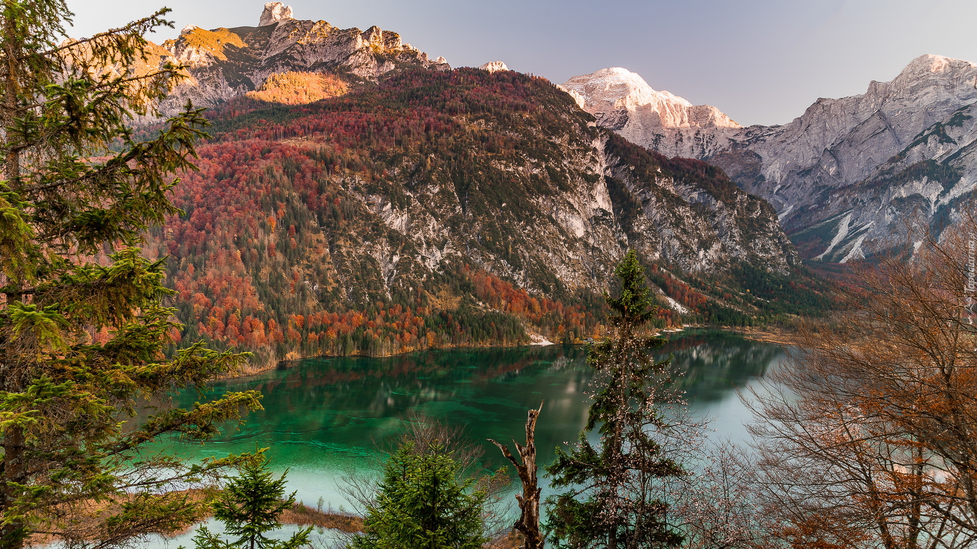 Góry, Alpy, Jezioro Almsee, Drzewa, Jesień, Dolina Almtal, Austria