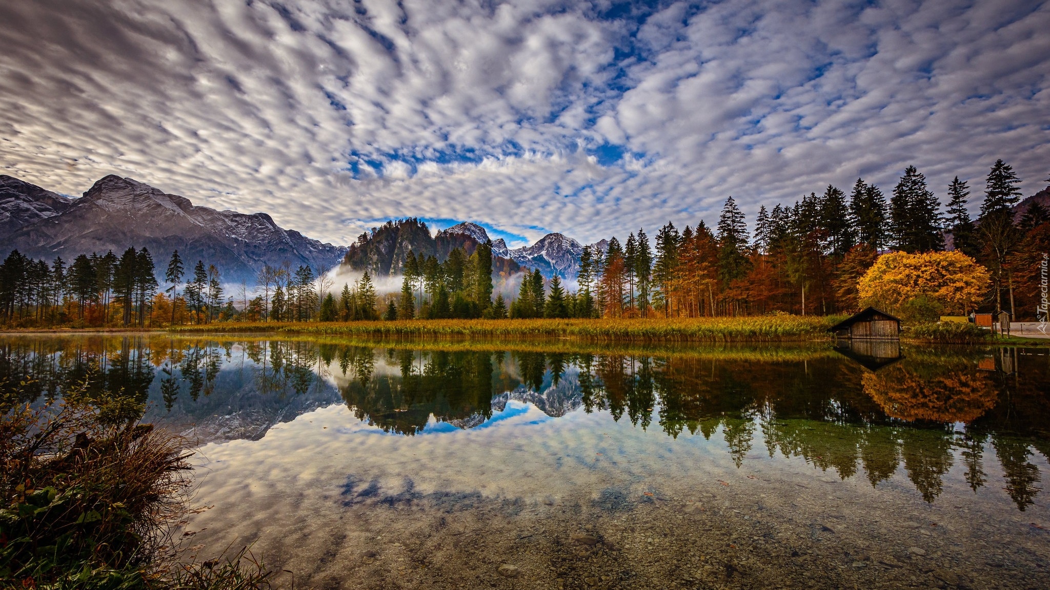 Austria, Góry, Alpy, Dolina Almtal, Jezioro Almsee, Drzewa, Chmury