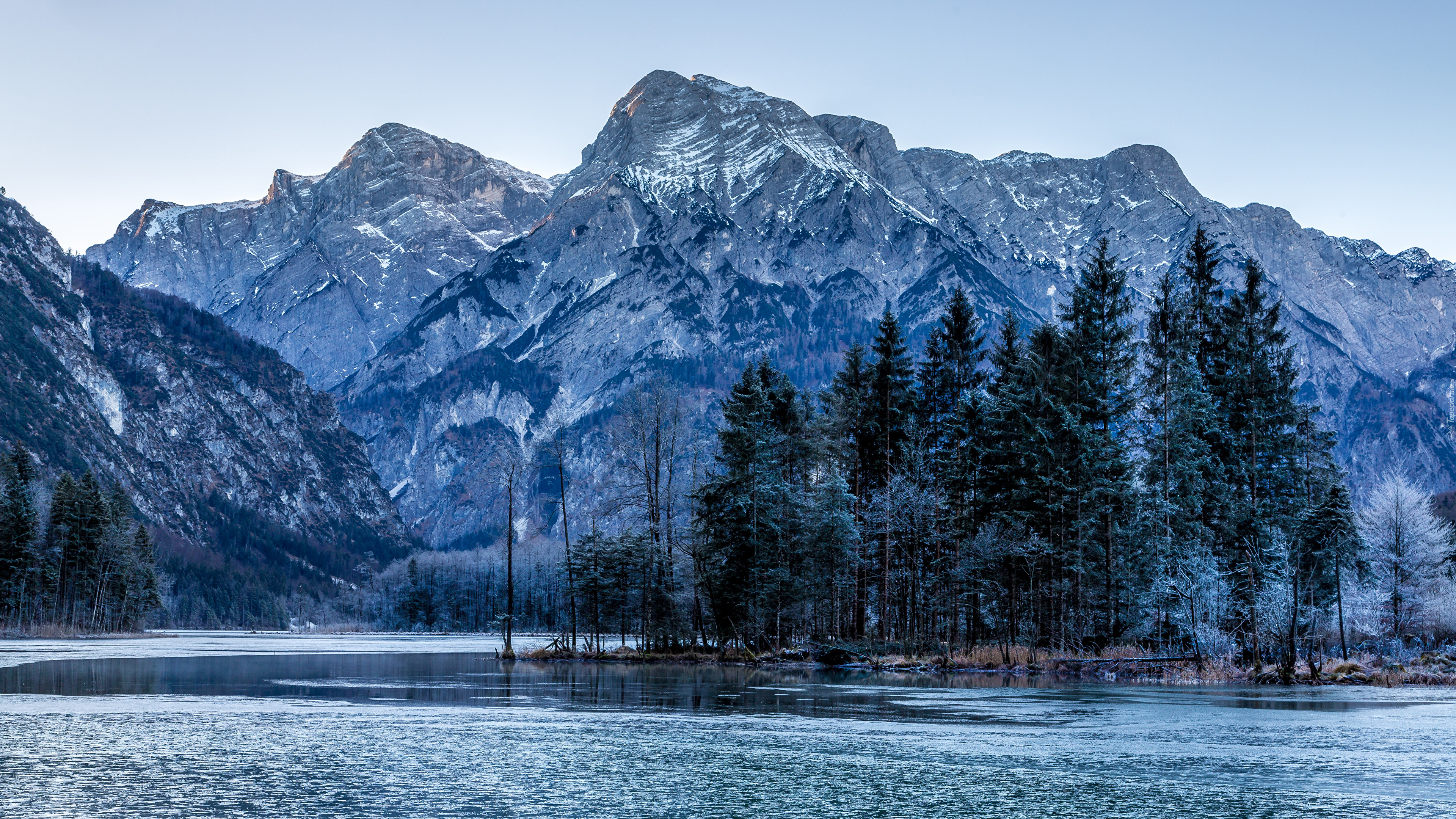 Austria, Góry Alpy, Dolina Almtal, Jezioro Almsee, Drzewa