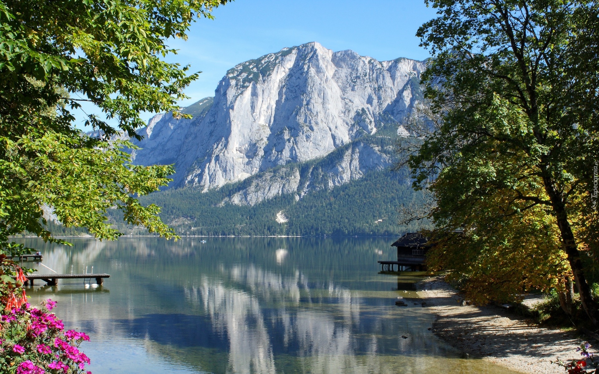 Austria, Styria, Jezioro, Altaussee, Góry, Alpy, Drzewa