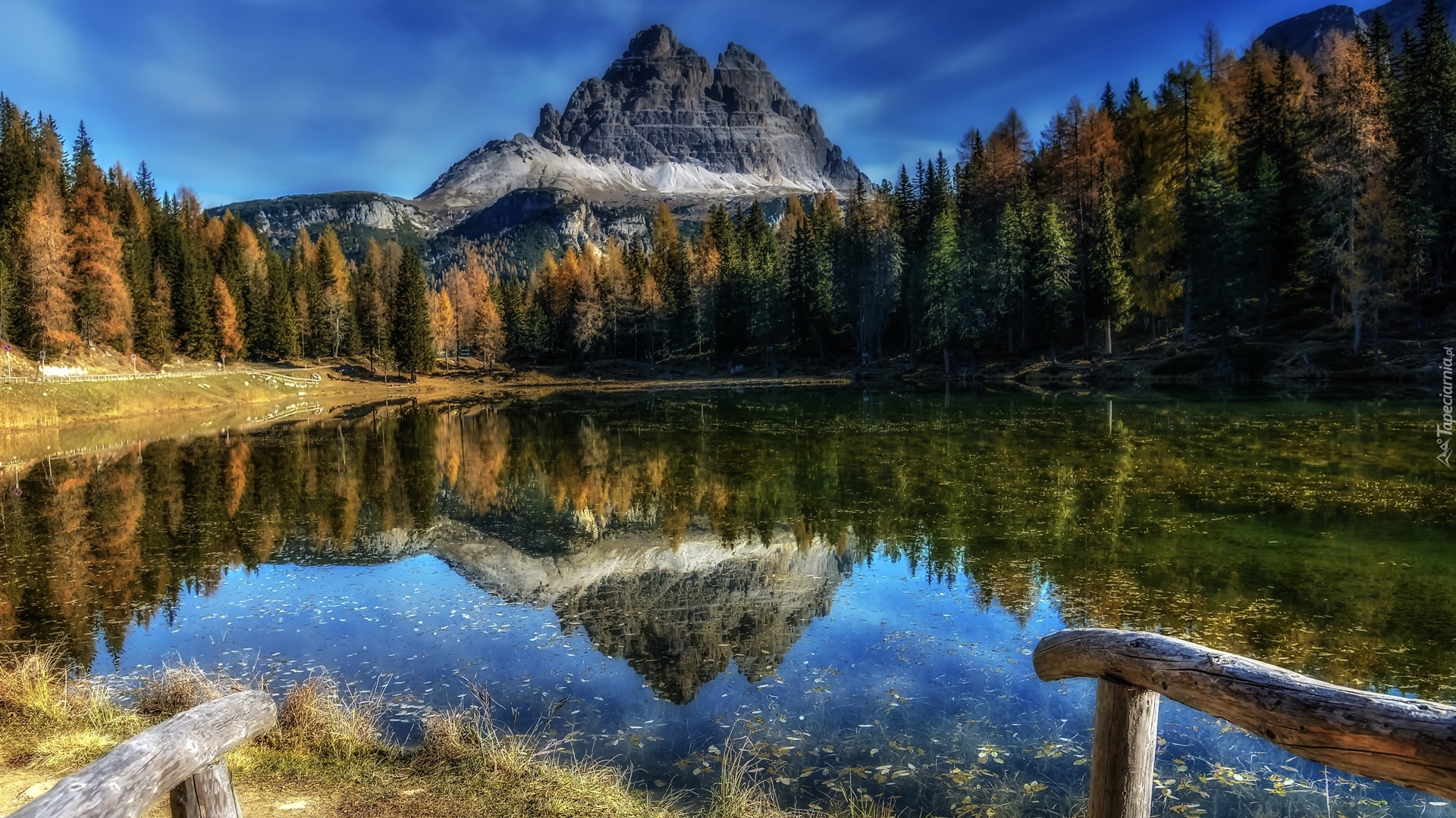 Jezioro Antorno Lake, Góry Dolomity, Masyw Tre Cime di Lavaredo, Odbicie, Drzewa, Prowincja Belluno, Włochy