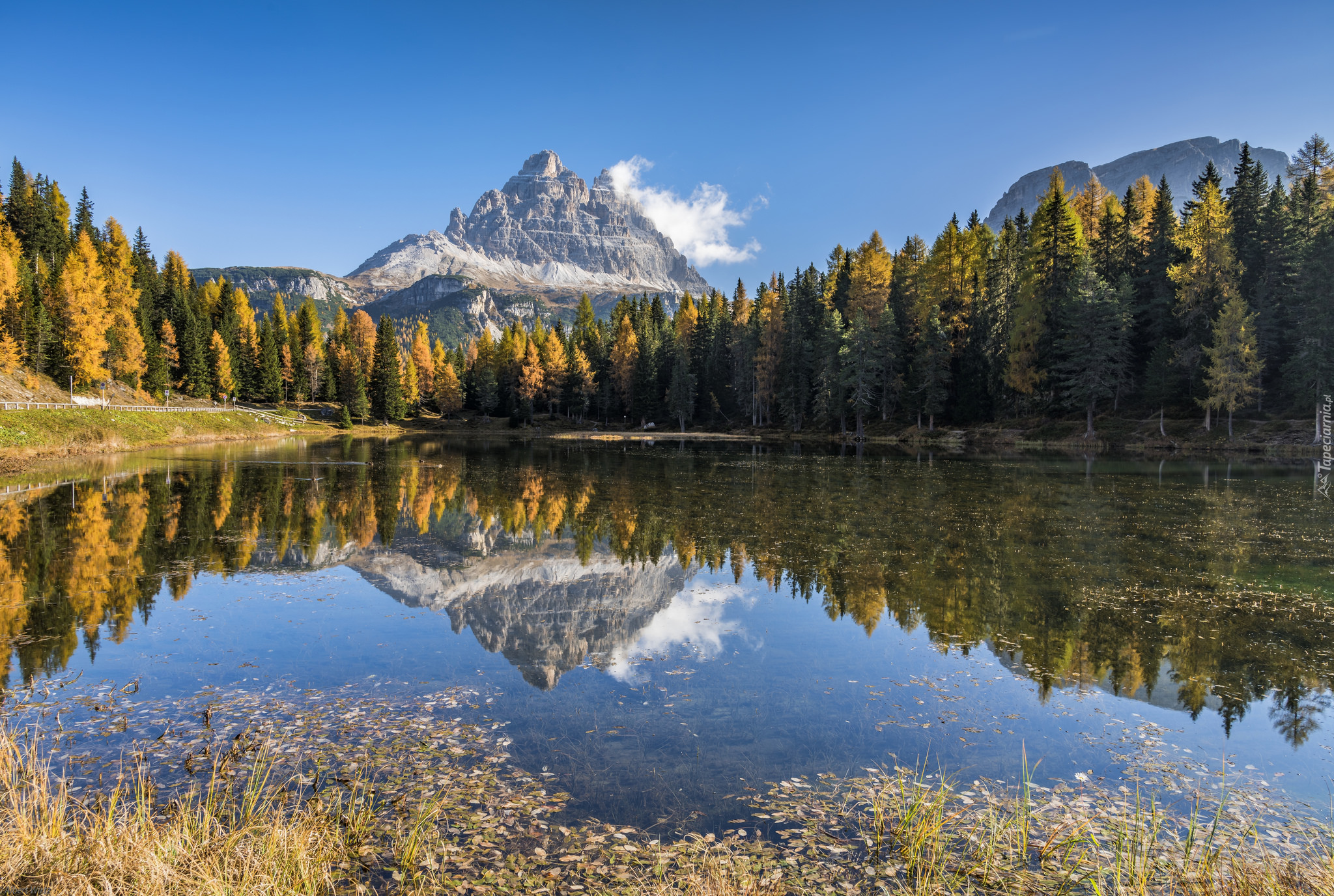 Masyw Tre Cime di Lavaredo, Góry, Dolomity, Jezioro Antorno Lake, Lasy, Drzewa, Prowincja Belluno, Włochy