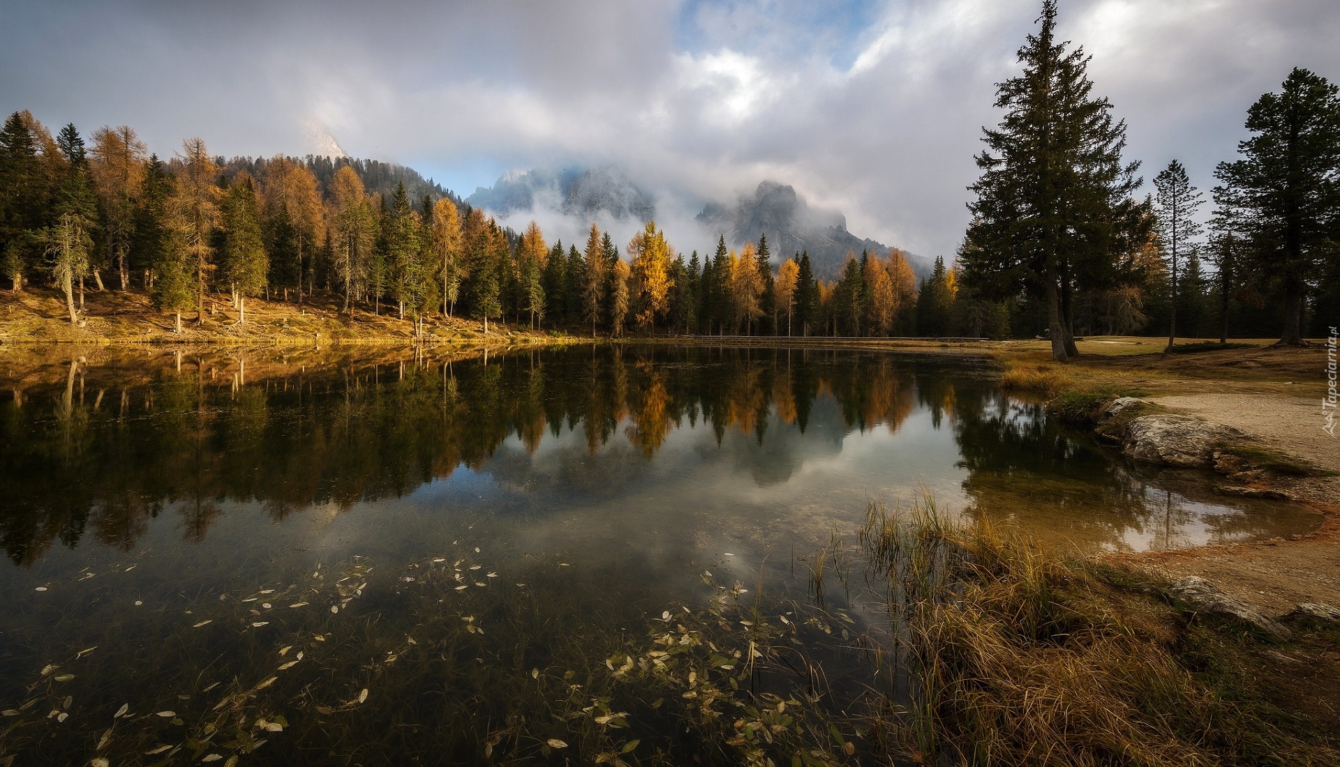 Góry, Dolomity, Las, Jezioro Antorno, Drzewa, Region Cadore, Włochy