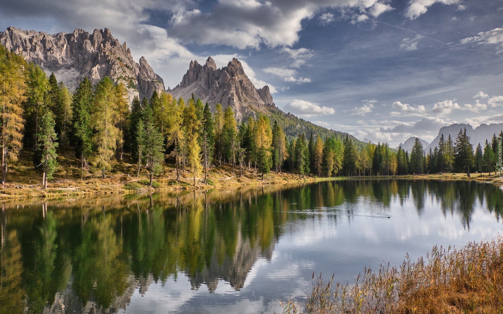 Góry, Dolomity, Las, Drzewa, Jezioro, Antorno Lake, Chmury, Włochy