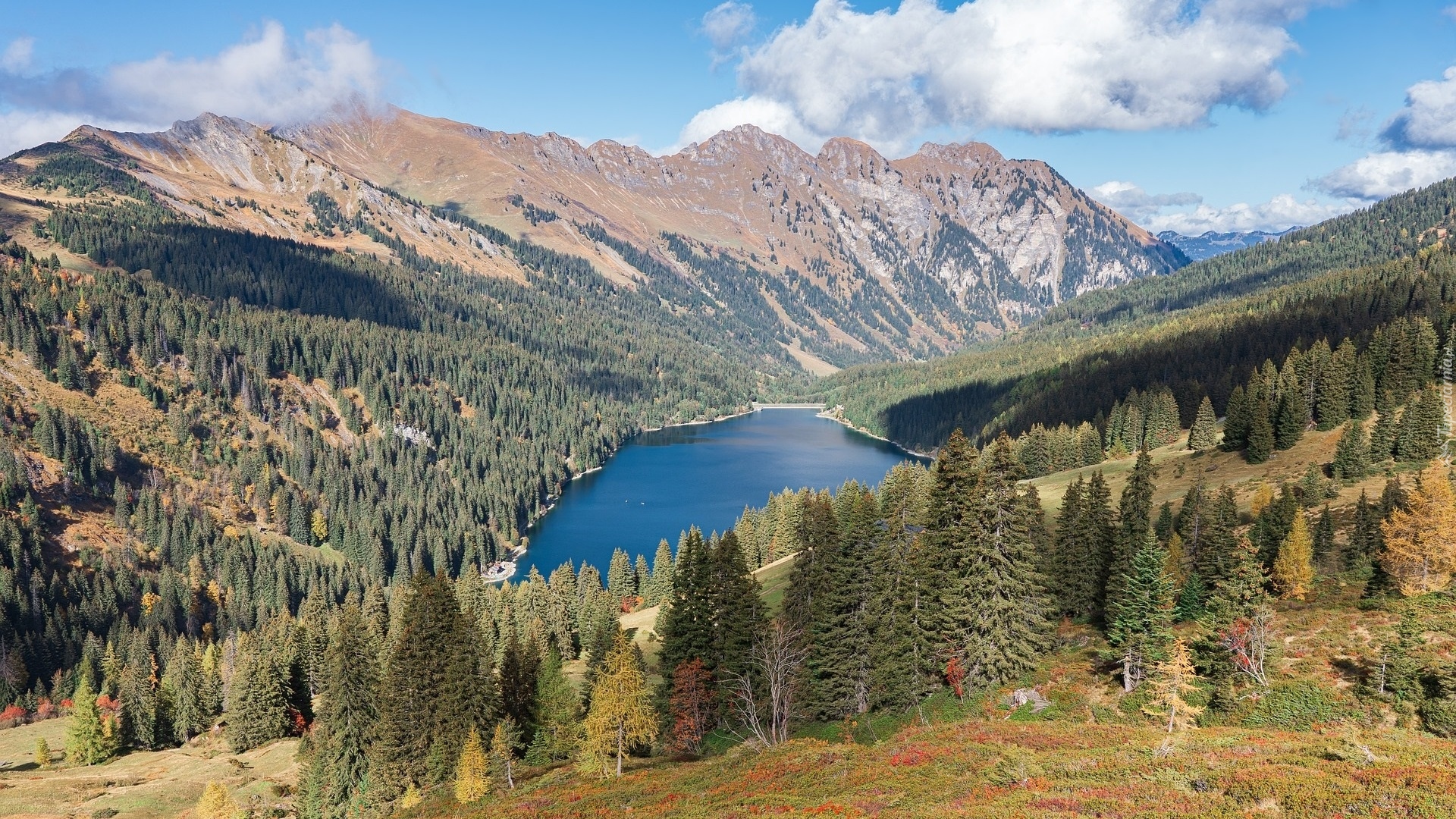 Góry, Jezioro Arnensee, Drzewa, Kanton Berno, Szwajcaria