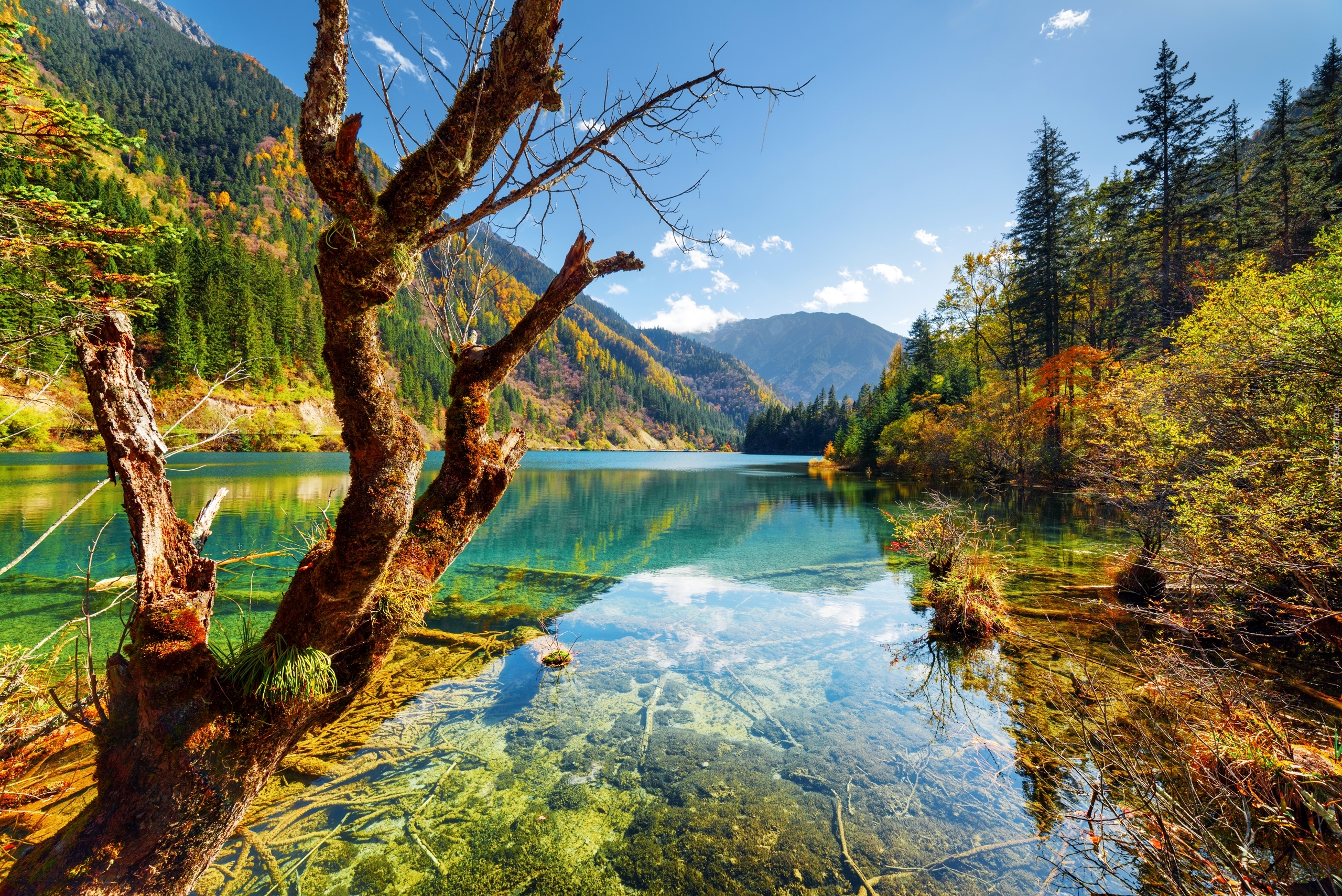 Chiny, Park Narodowy Jiuzhaigou, Jezioro Arrow Bamboo Lake, Góry, Las Drzewa