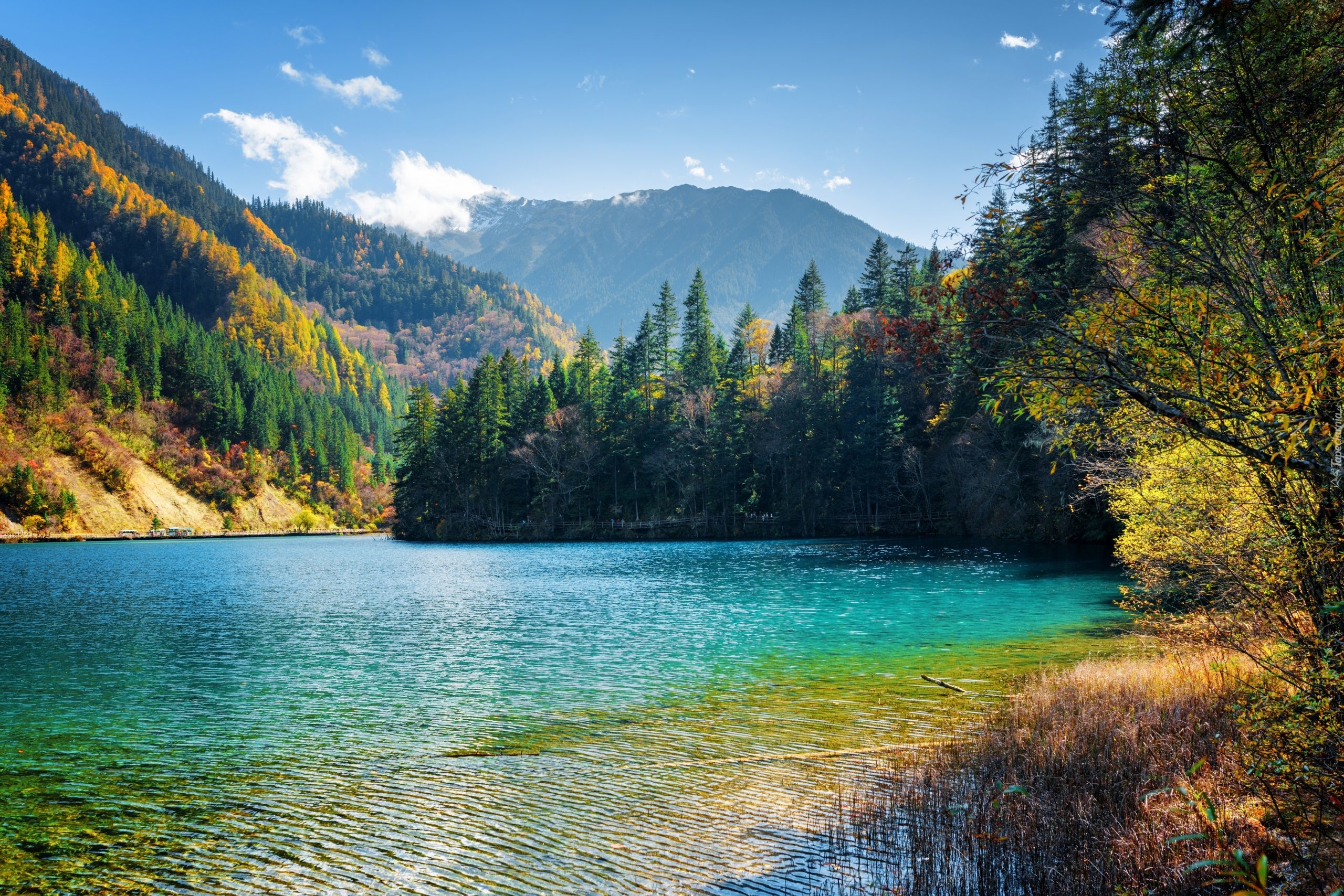 Chiny, Park Narodowy Jiuzhaigou, Jezioro Arrow Bamboo, Góry, Lasy,  Drzewa