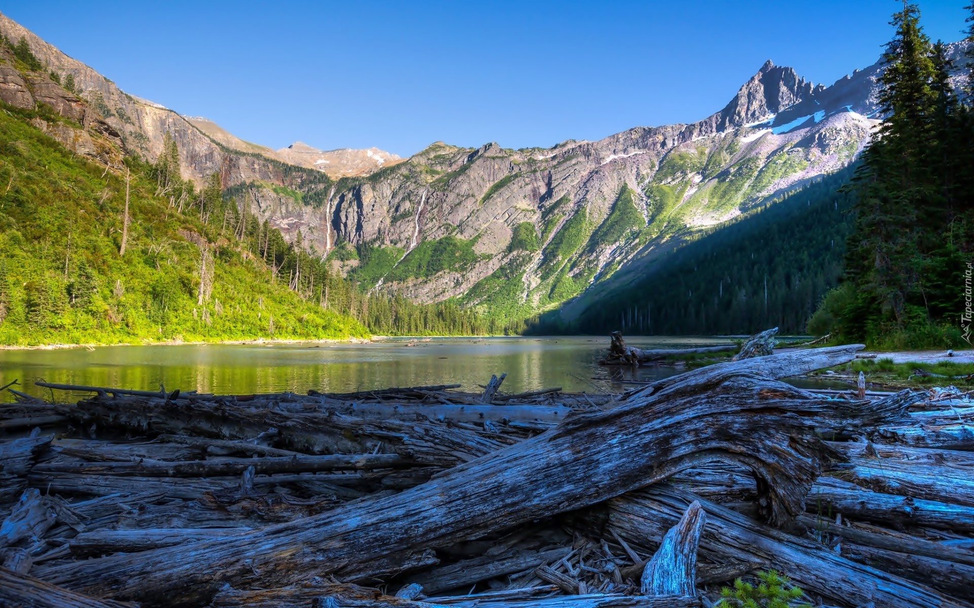 Stany Zjednoczone, Stan Montana, Park Narodowy Glacier, Jezioro Avalanche, Góry, Kłody