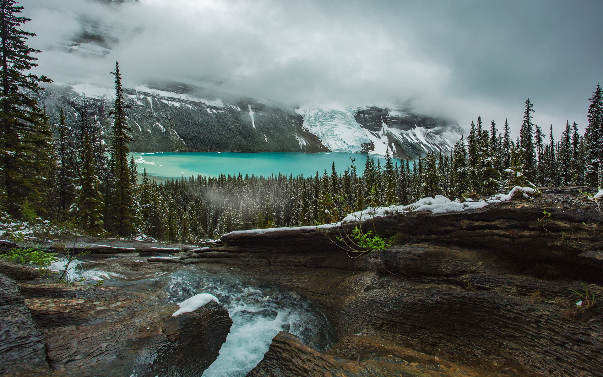 Jezioro Berg Lake, Góry Skaliste, Canadian Rockies, Drzewa, Skały, Strumyk, Mgła, Kolumbia Brytyjska, Kanada