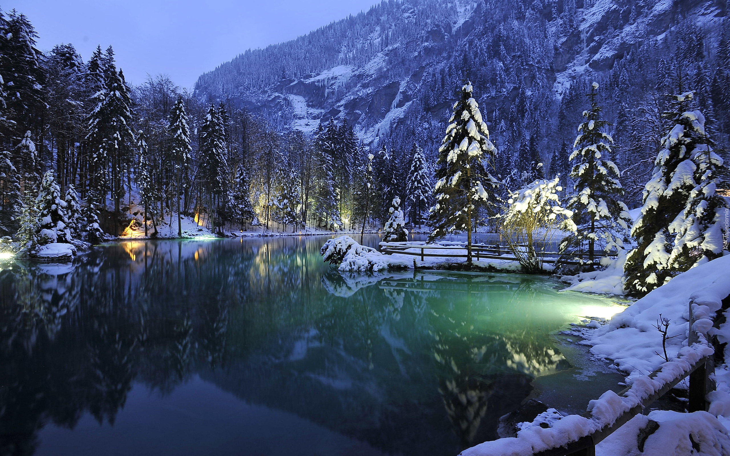 Zima, Góry, Lasy, Drzewa, Jezioro Blausee,  Szwajcaria