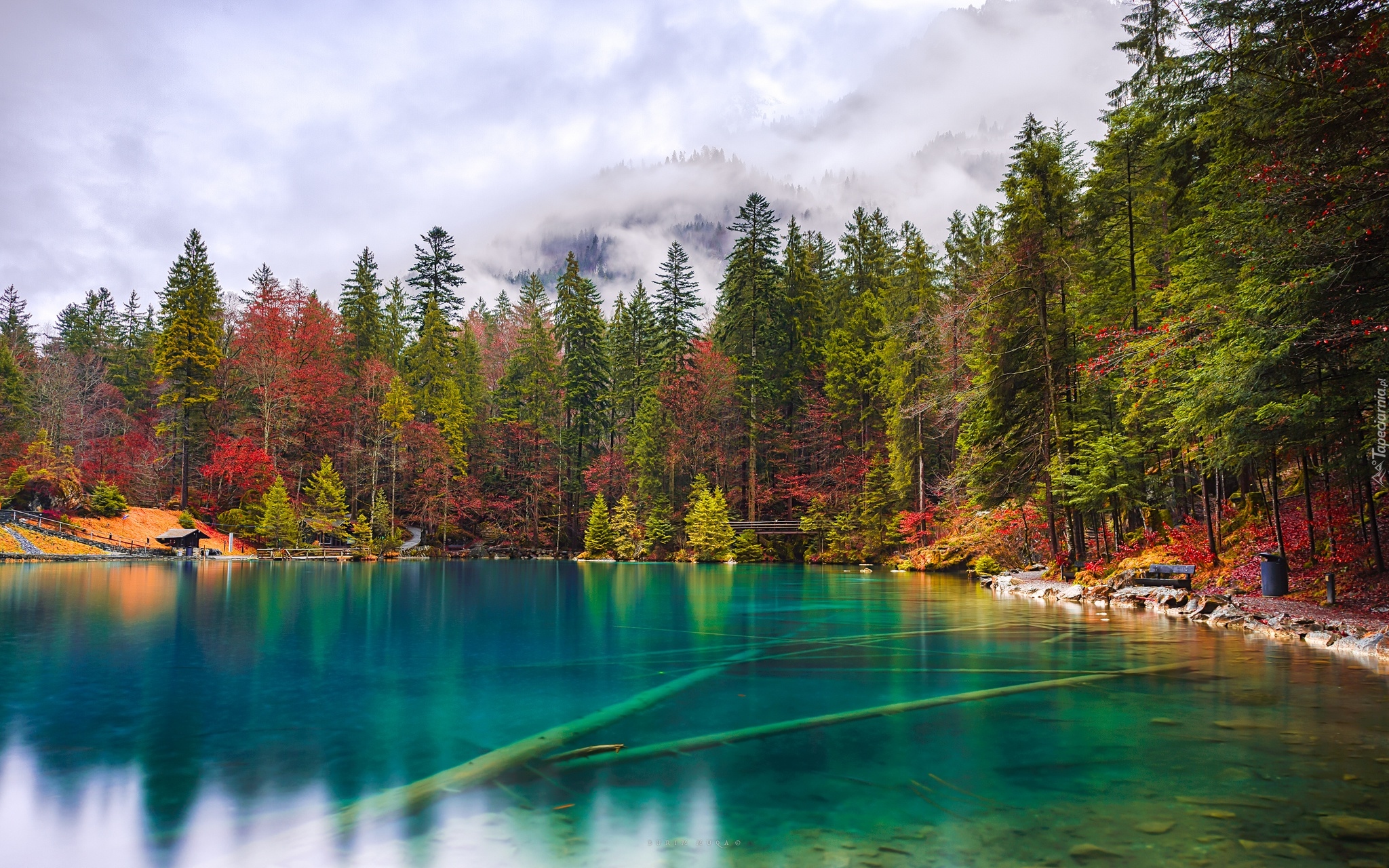 Szwajcaria, Wyżyny Berneńskie, Jezioro Blausee, Ławka, Jesień, Las, Drzewa