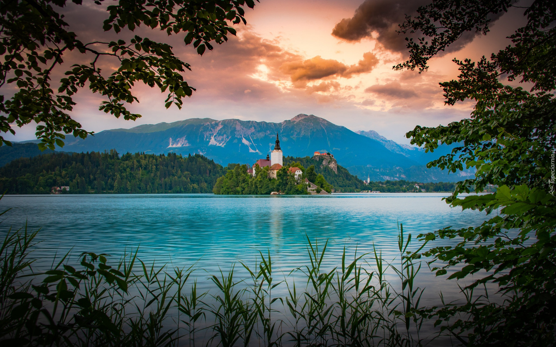Jezioro Bled, Wyspa Blejski Otok, Góry, Alpy Julijskie, Drzewa, Gałęzie, Chmury, Zachód słońca, Słowenia