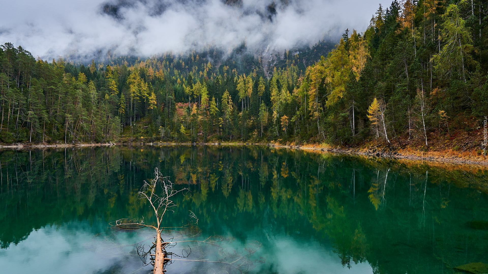 Jezioro Blindsee, Drzewa, Mgła, Las, Austria