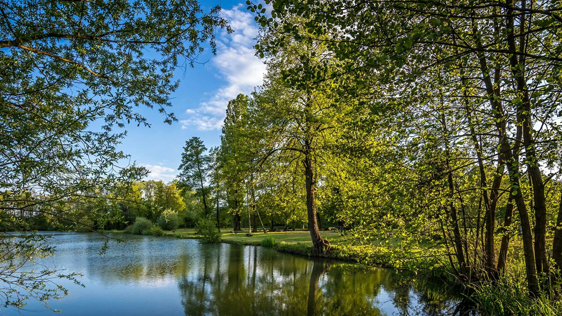 Chorwacja, Jezioro Bobovica, Drzewa