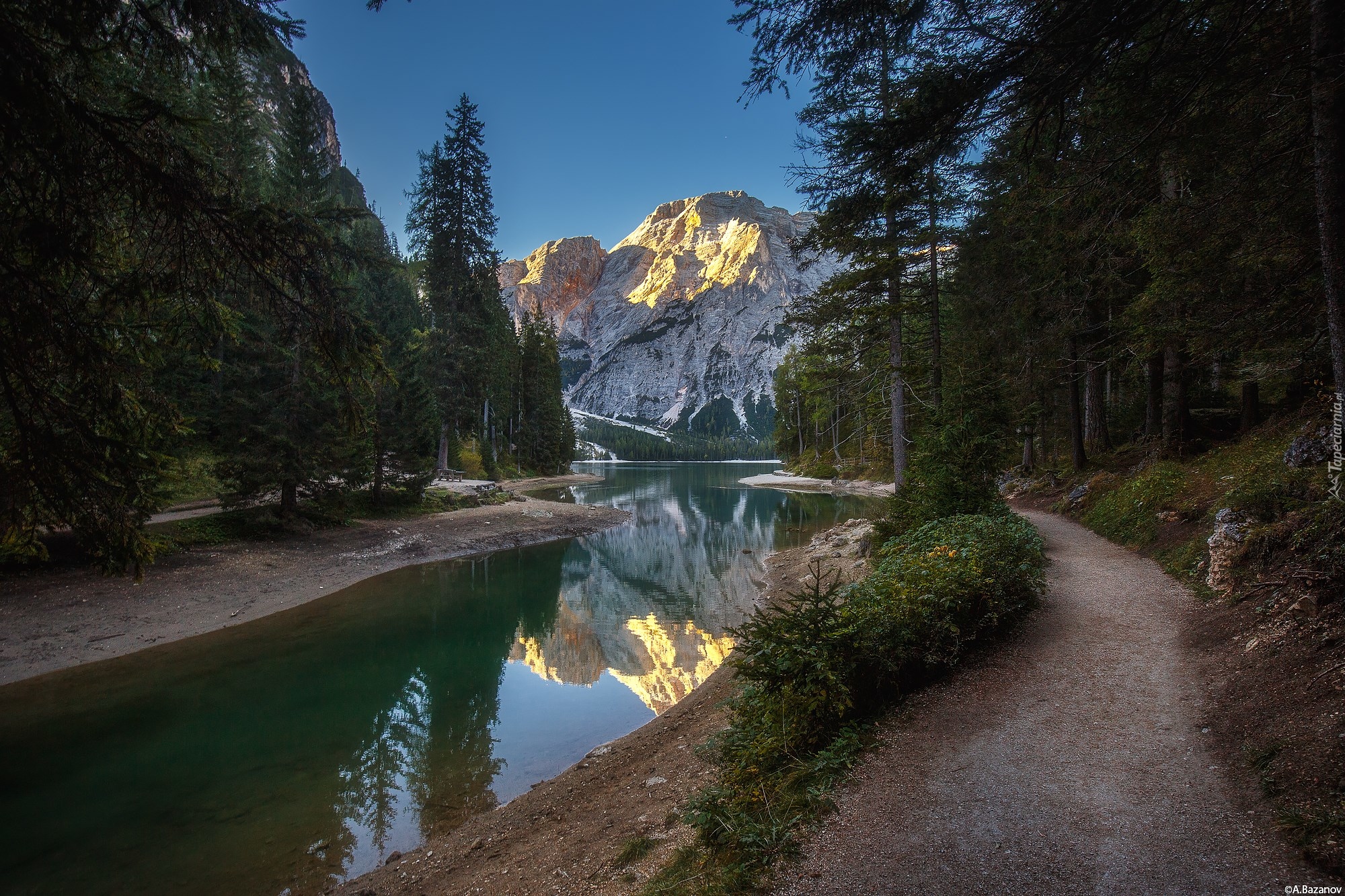 Włochy, Góry Dolomity, Region Alta Pusteria, Dolina Val Pusteria, Dolina Val di Braies, Jezioro Braies - Pragser Wildsee, Drzewa, Droga